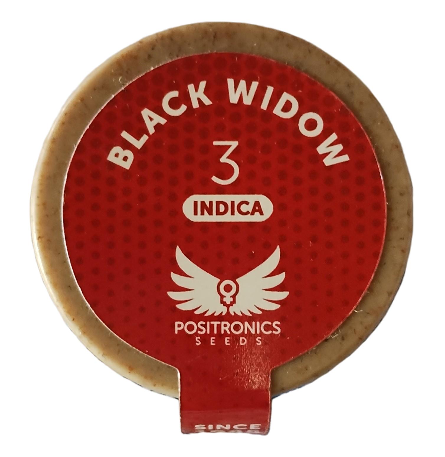 Positronics Black Widow 3uds