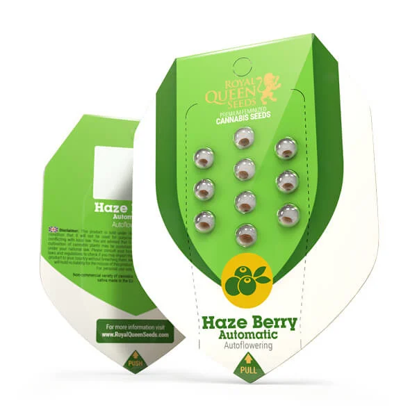 Royal Queen Seeds Haze Berry Auto 3uds