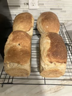 White Sourdough Sandwich Loaf