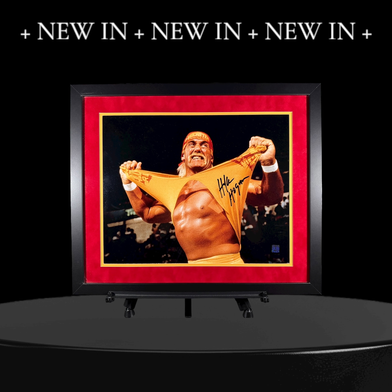 Hulk Hogan Signed Framed Photo