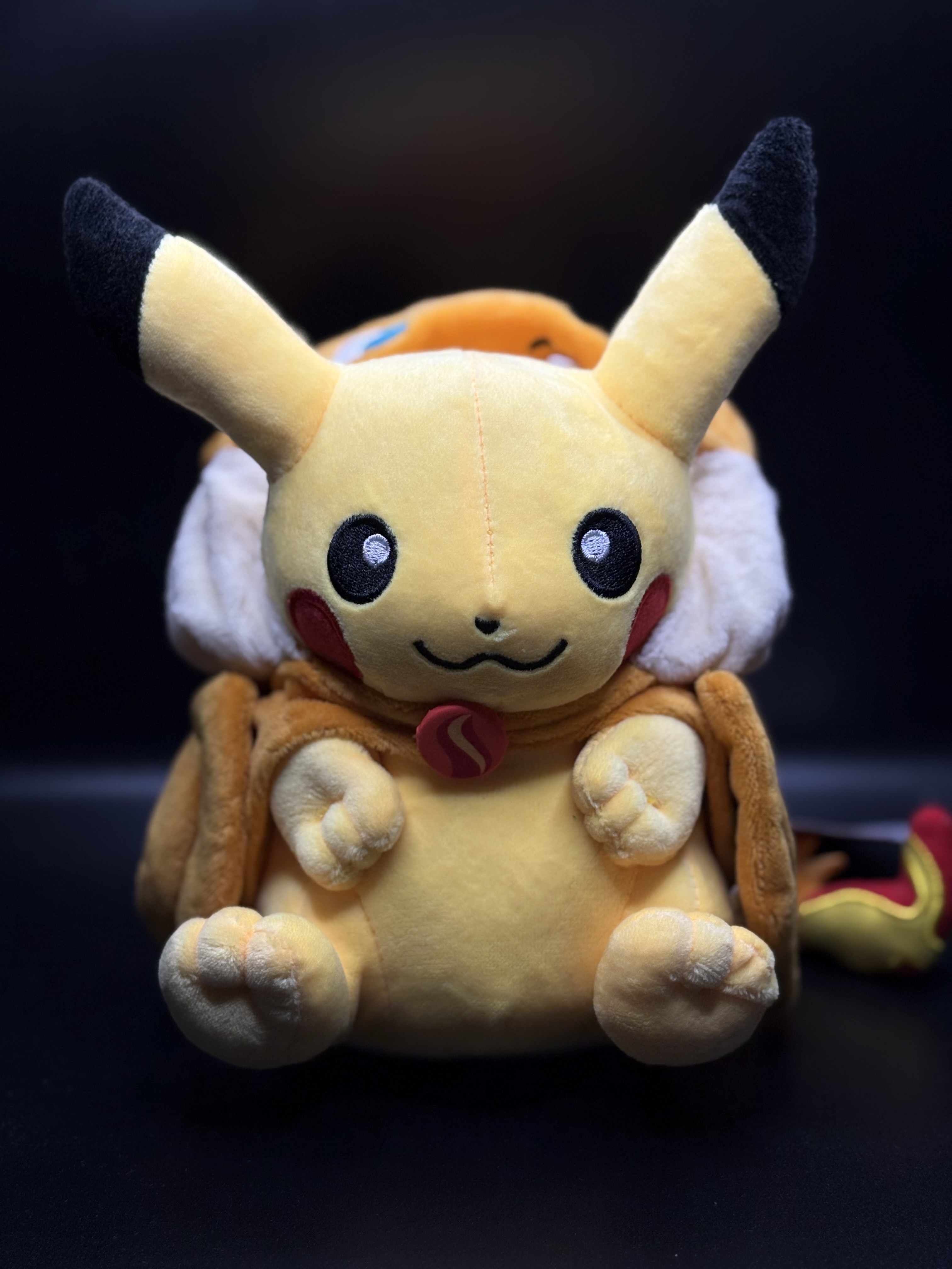 Pikachu Charizard Poncho Plushie