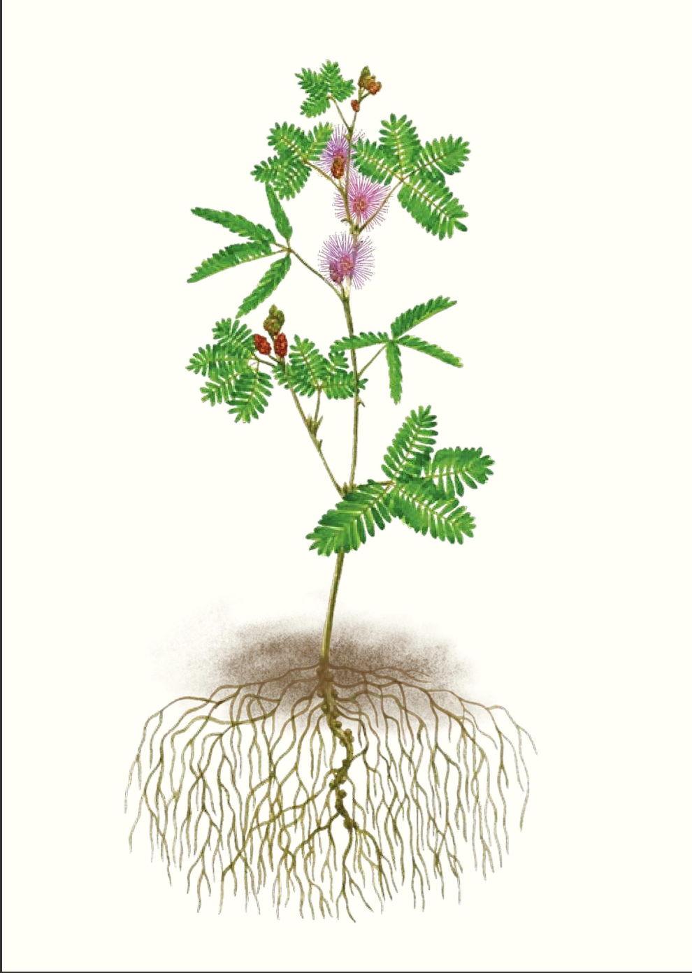 Sensibles par nature