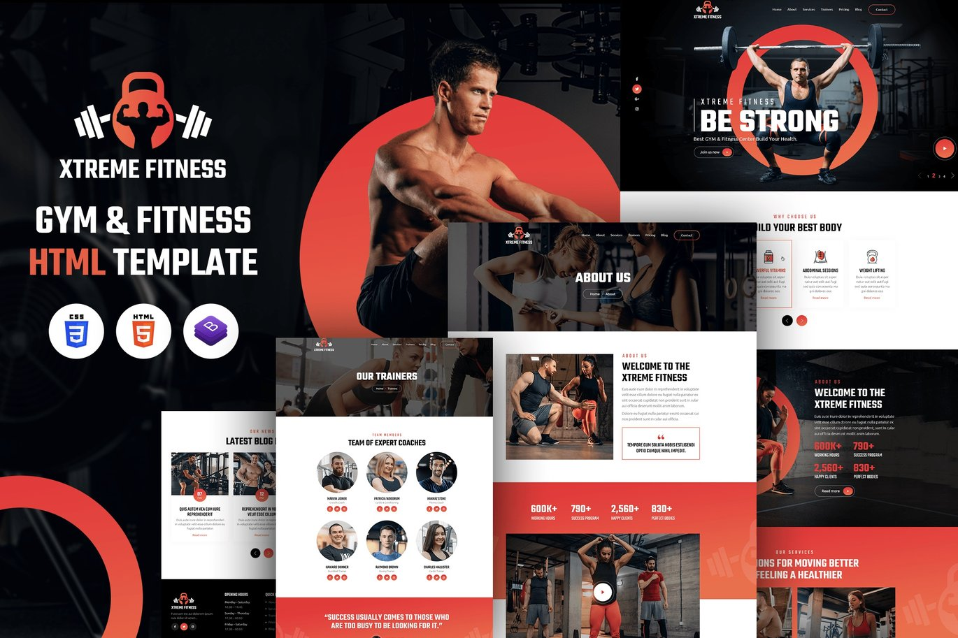 GYM Fitness & Gym HTML website