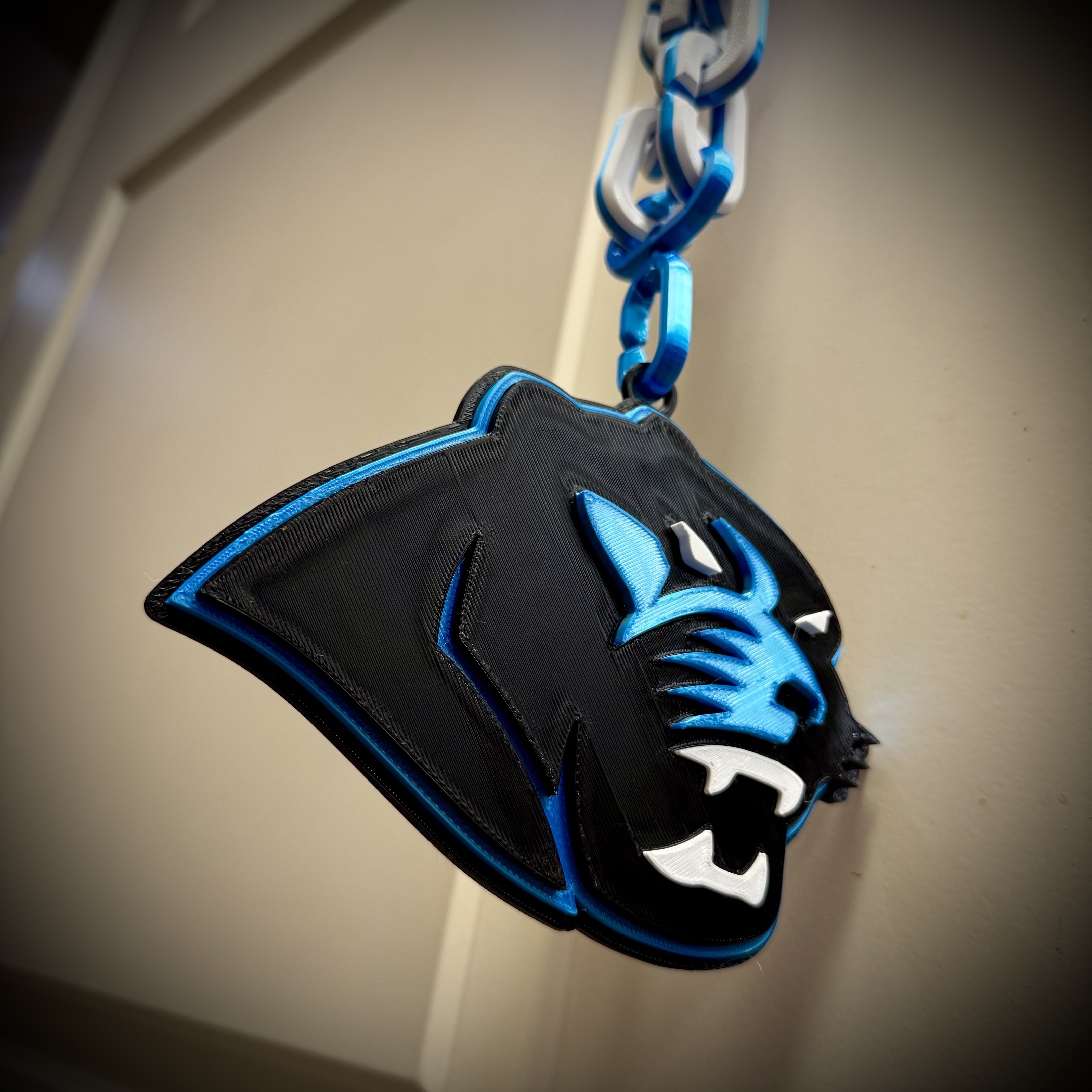 Paetow High School Silk Blue and Black Hype Chain and Pendant Collectible