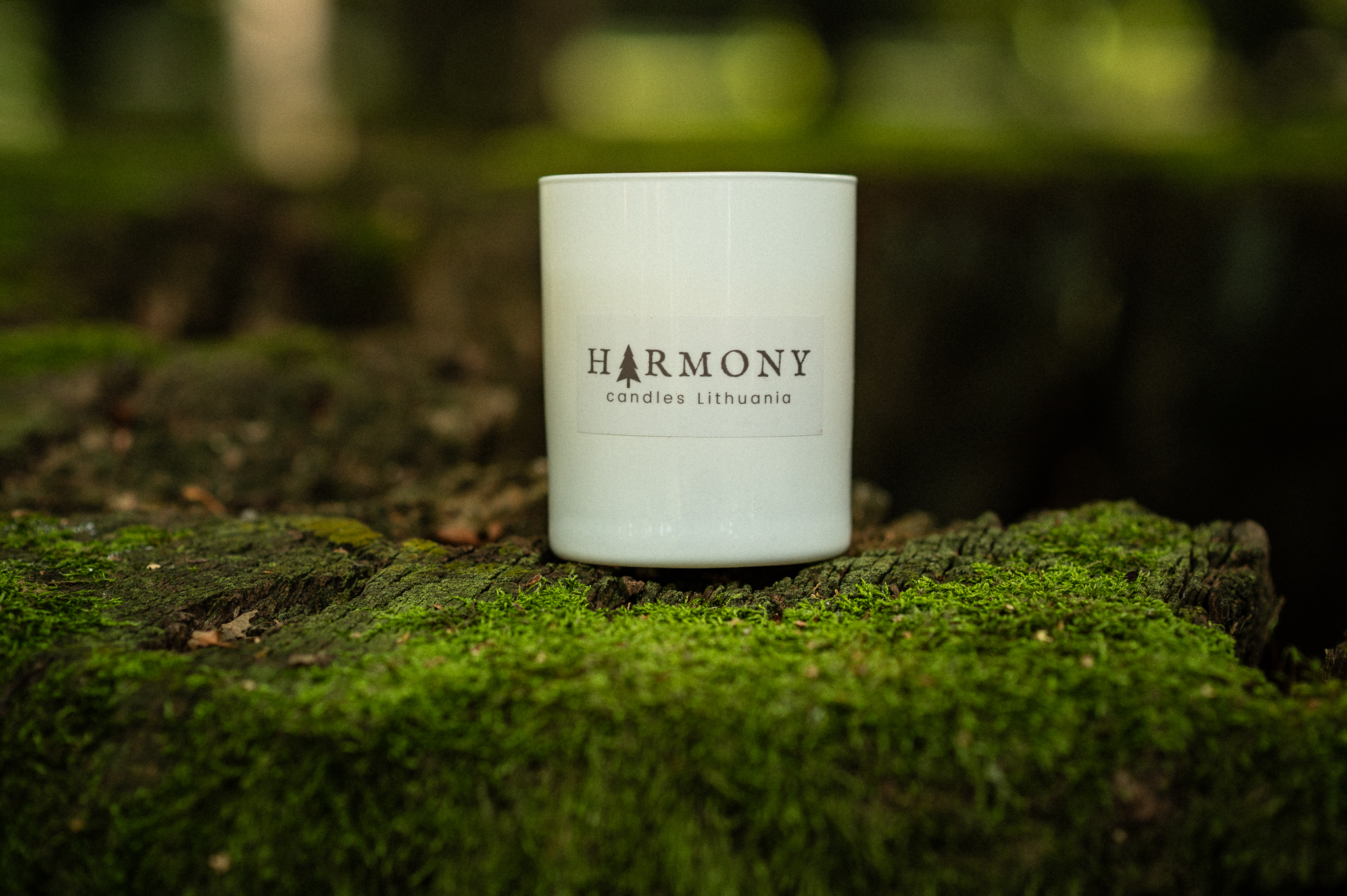 Kvapnioji žvakė LAIKINUMAS - kašmyro mediena