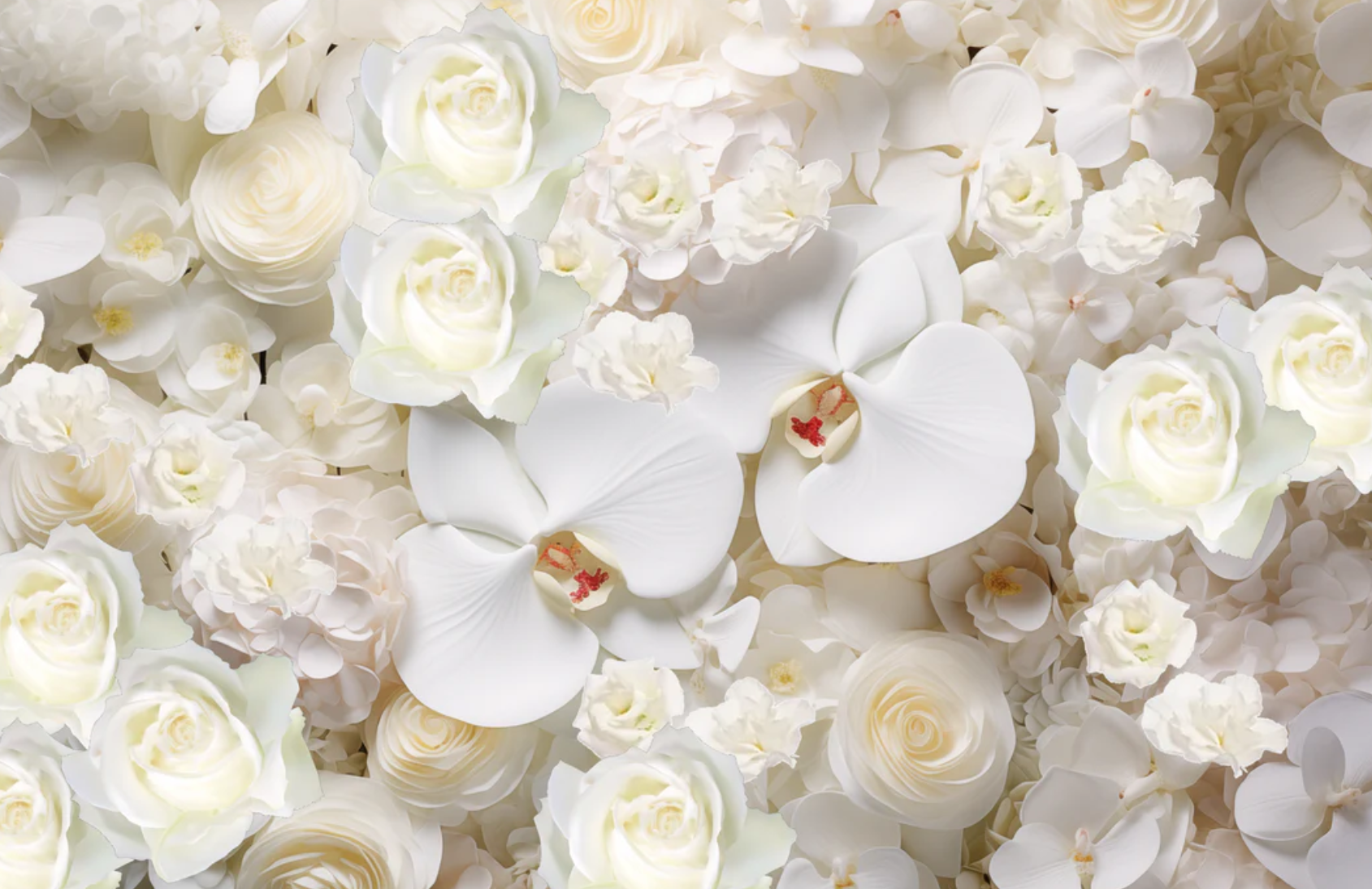 Designers Choice All White