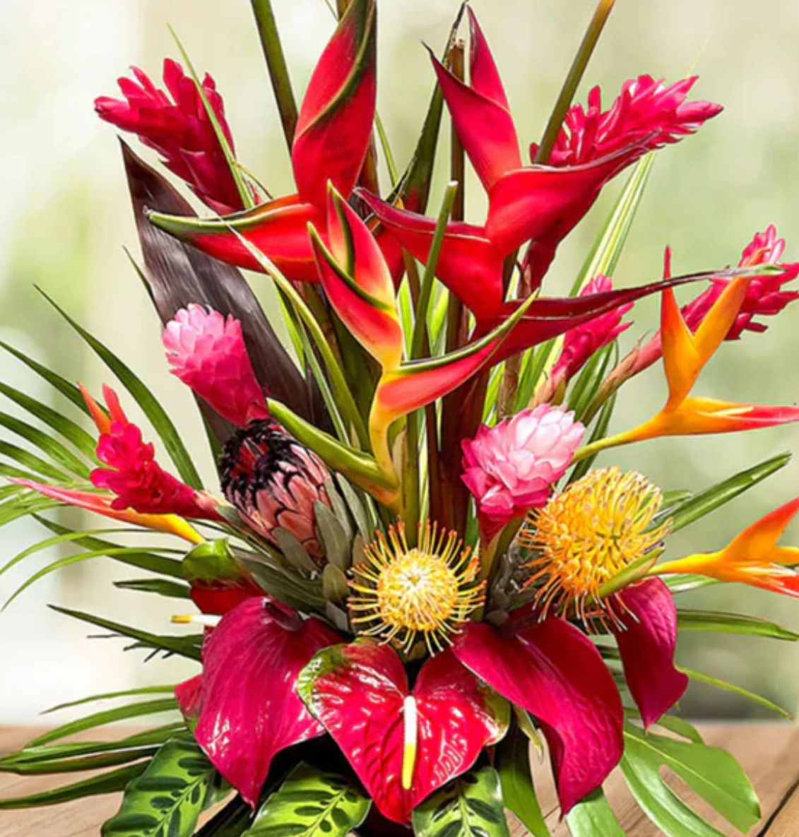 Designers Choice Tropical