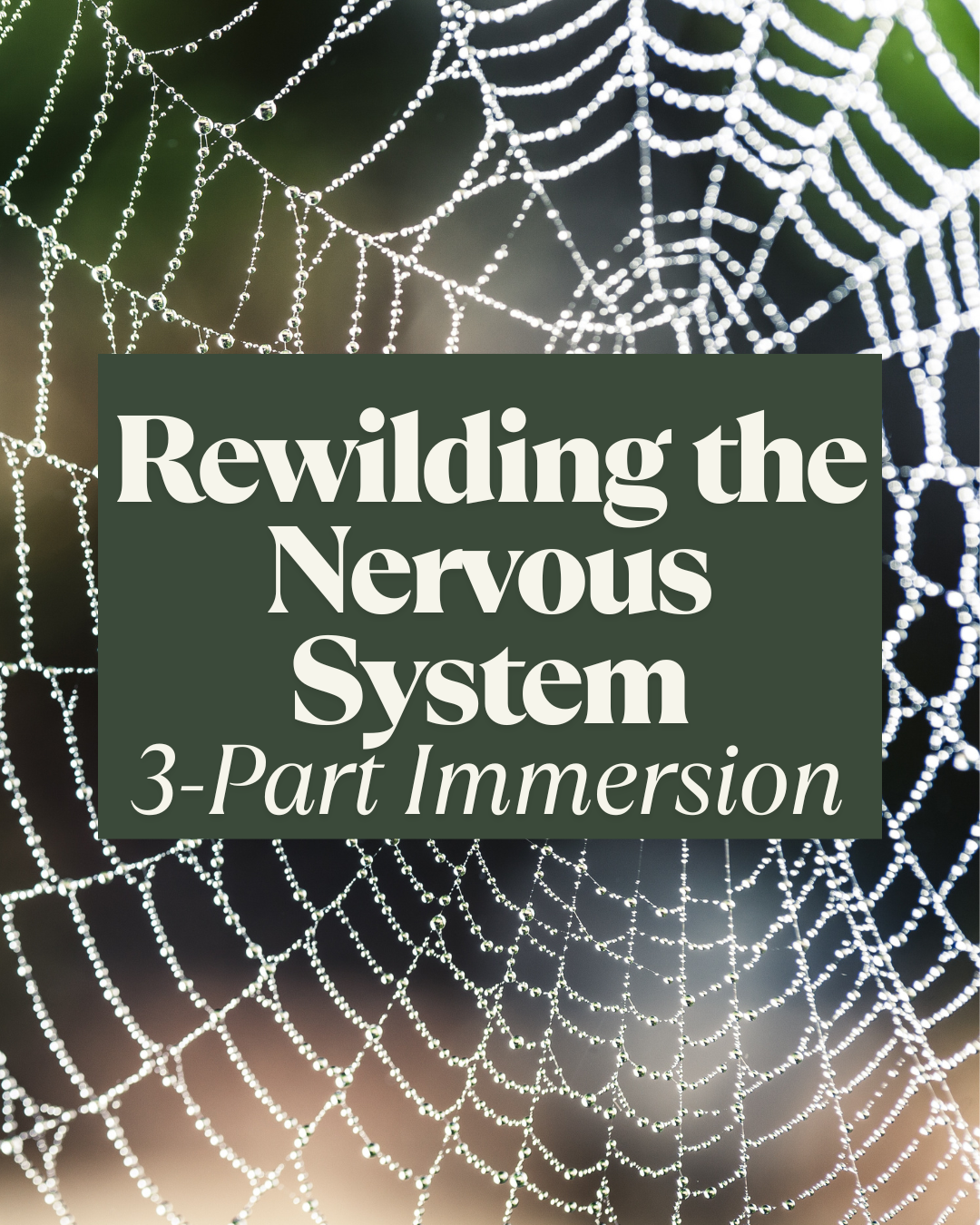 Rewilding the Nervous System