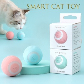 Bola interativa para gatos