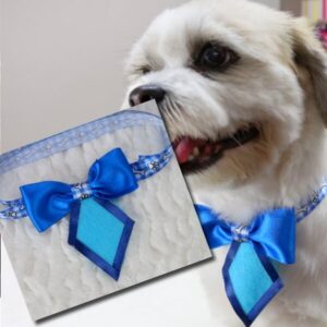🐾 Laços para Pet – Aprenda a Criar Acessórios Lindos e Lucrativos