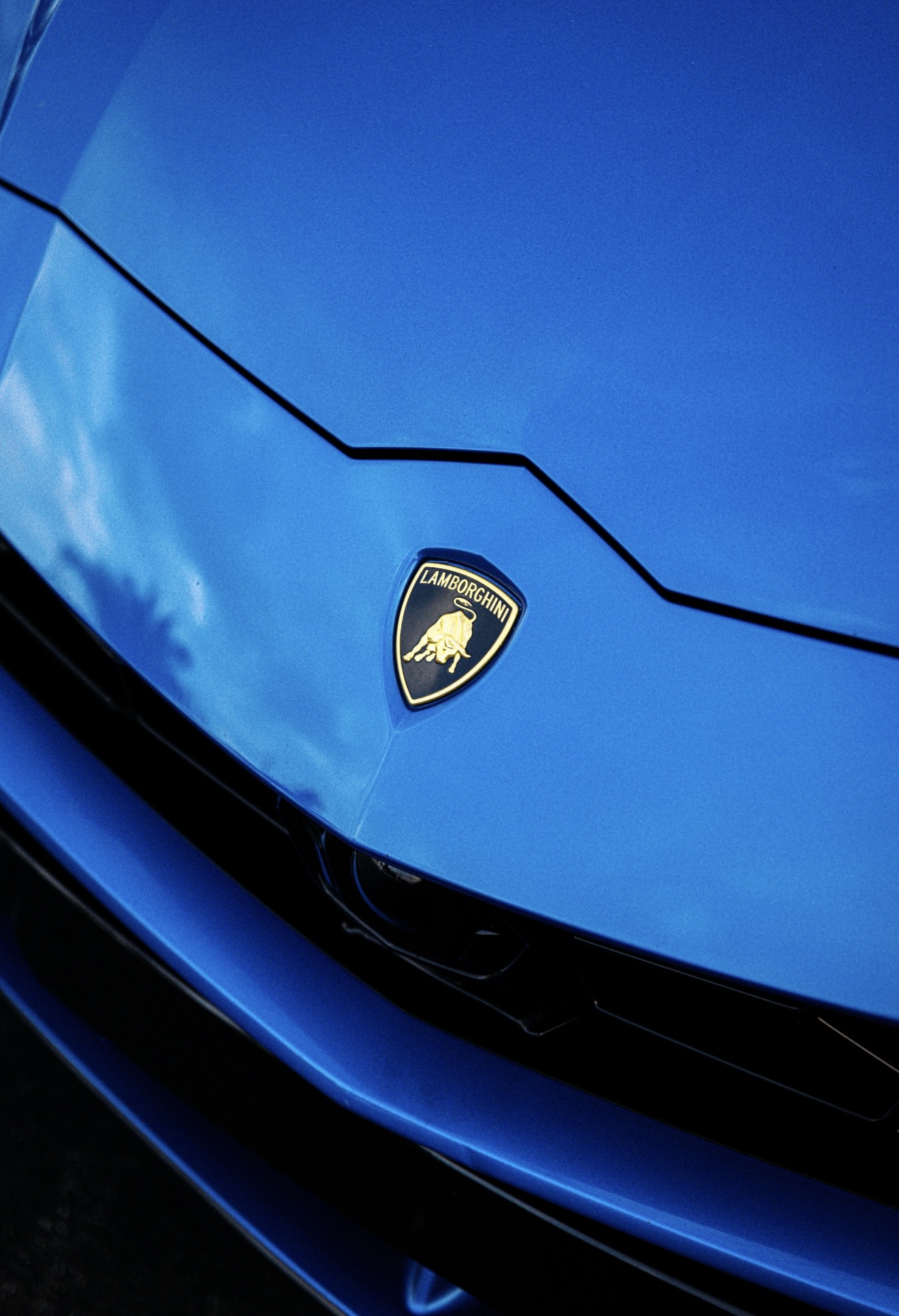 Lamborghini Urus - Blue on Black
