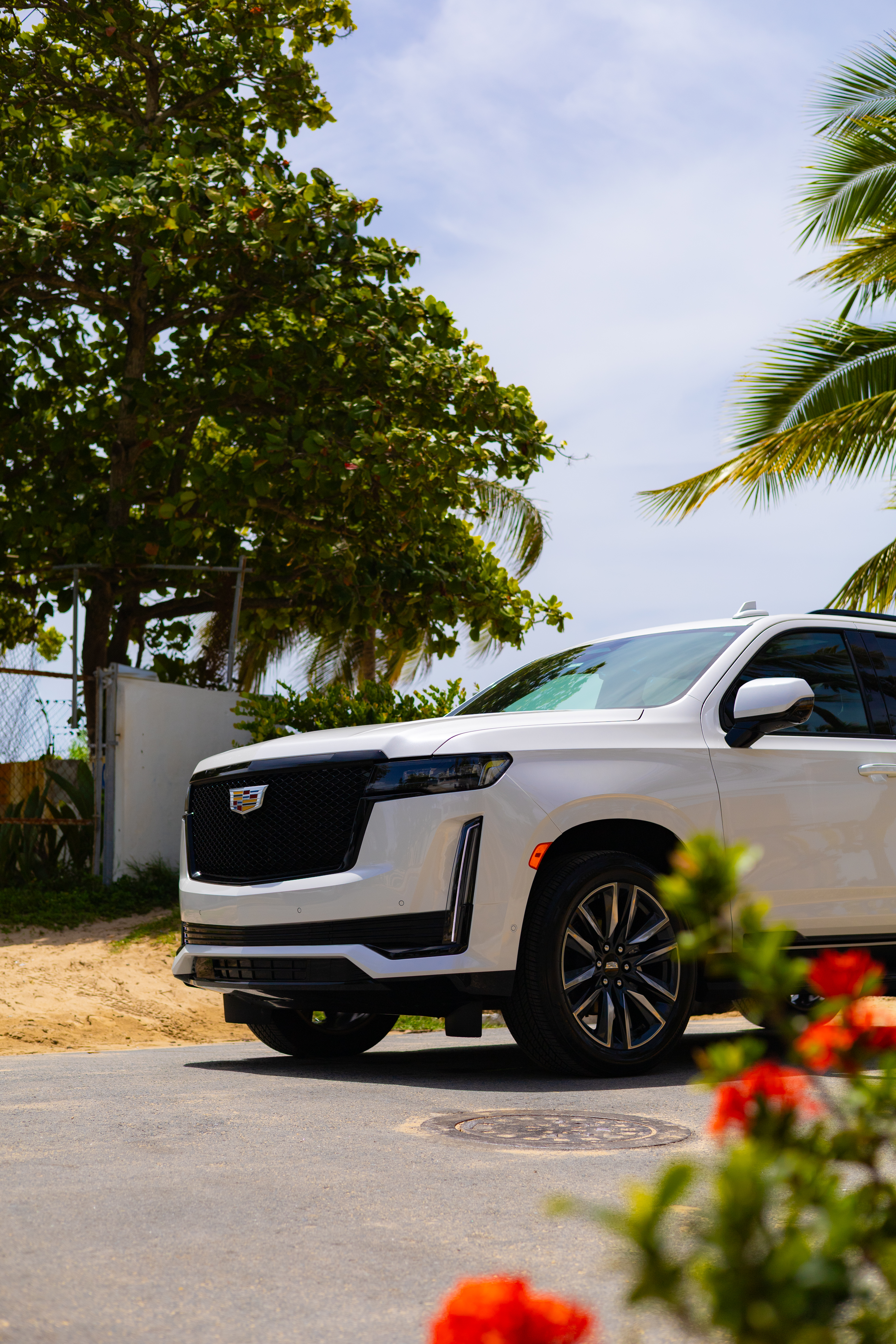 Cadillac Escalade - White on Black