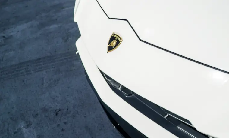 Lamborghini Urus – White on Blue & Black