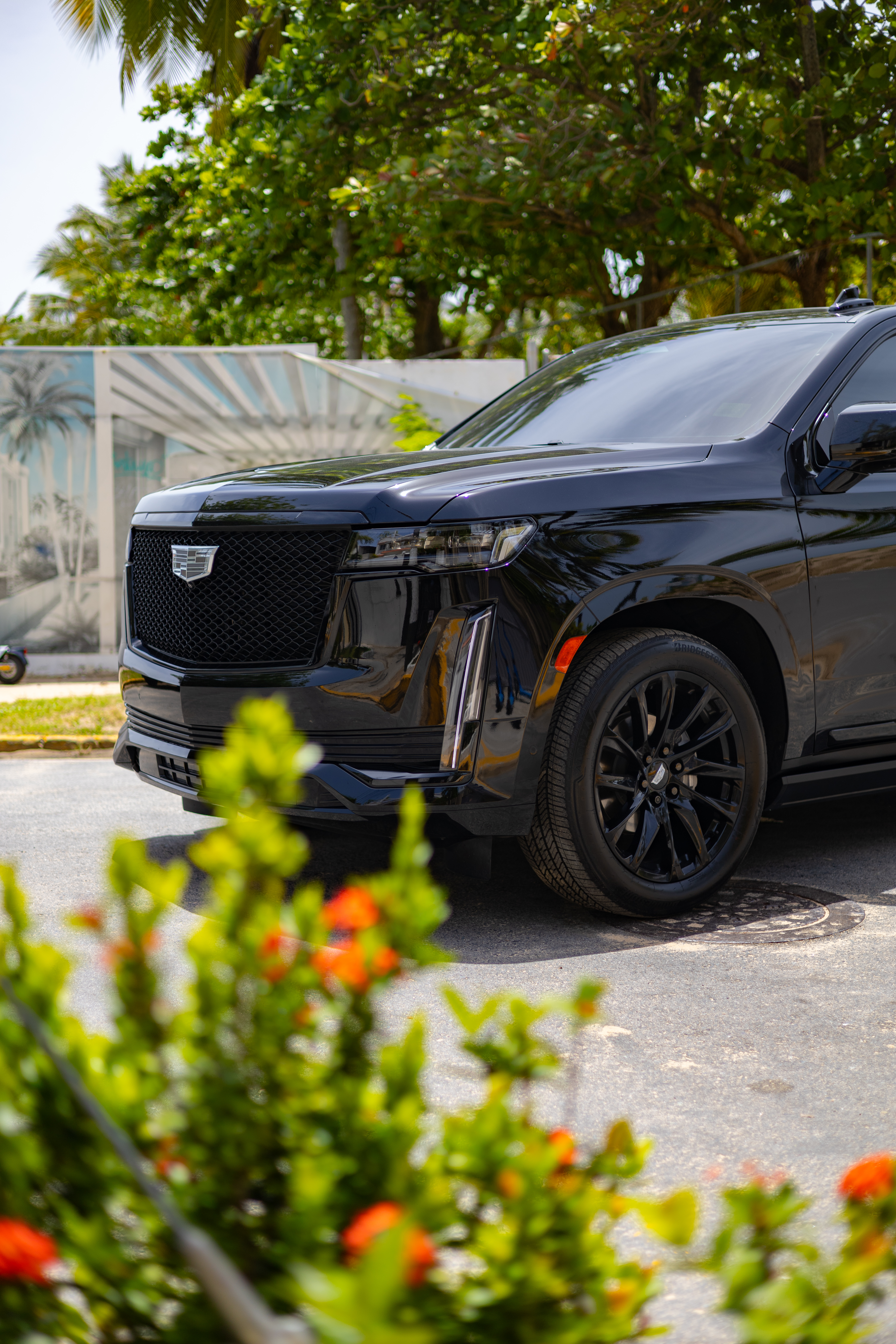 Cadillac Escalade (Chauffeur Service)  - Black on Black
