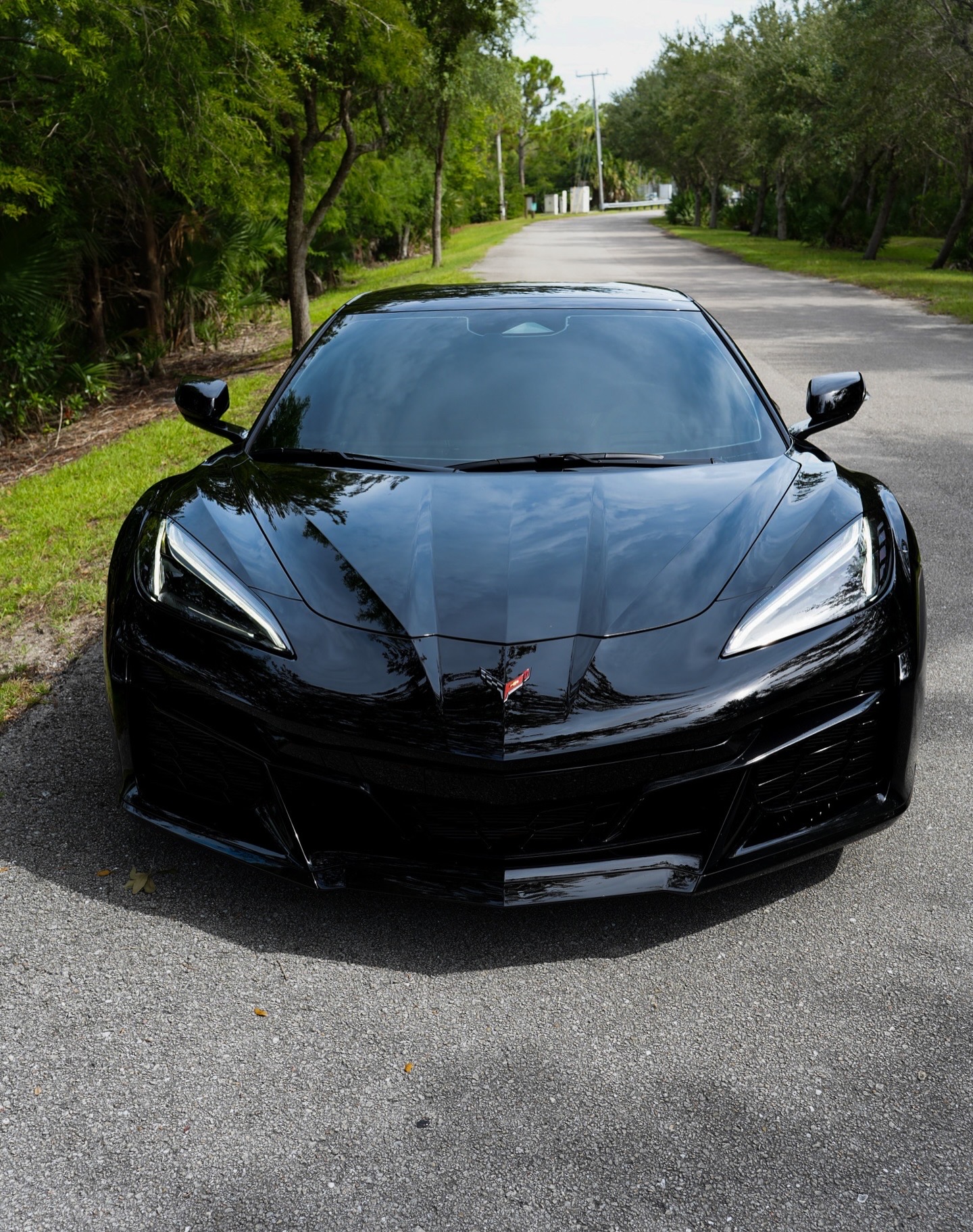 Chevrolet Corvette Z06 - Black on Black