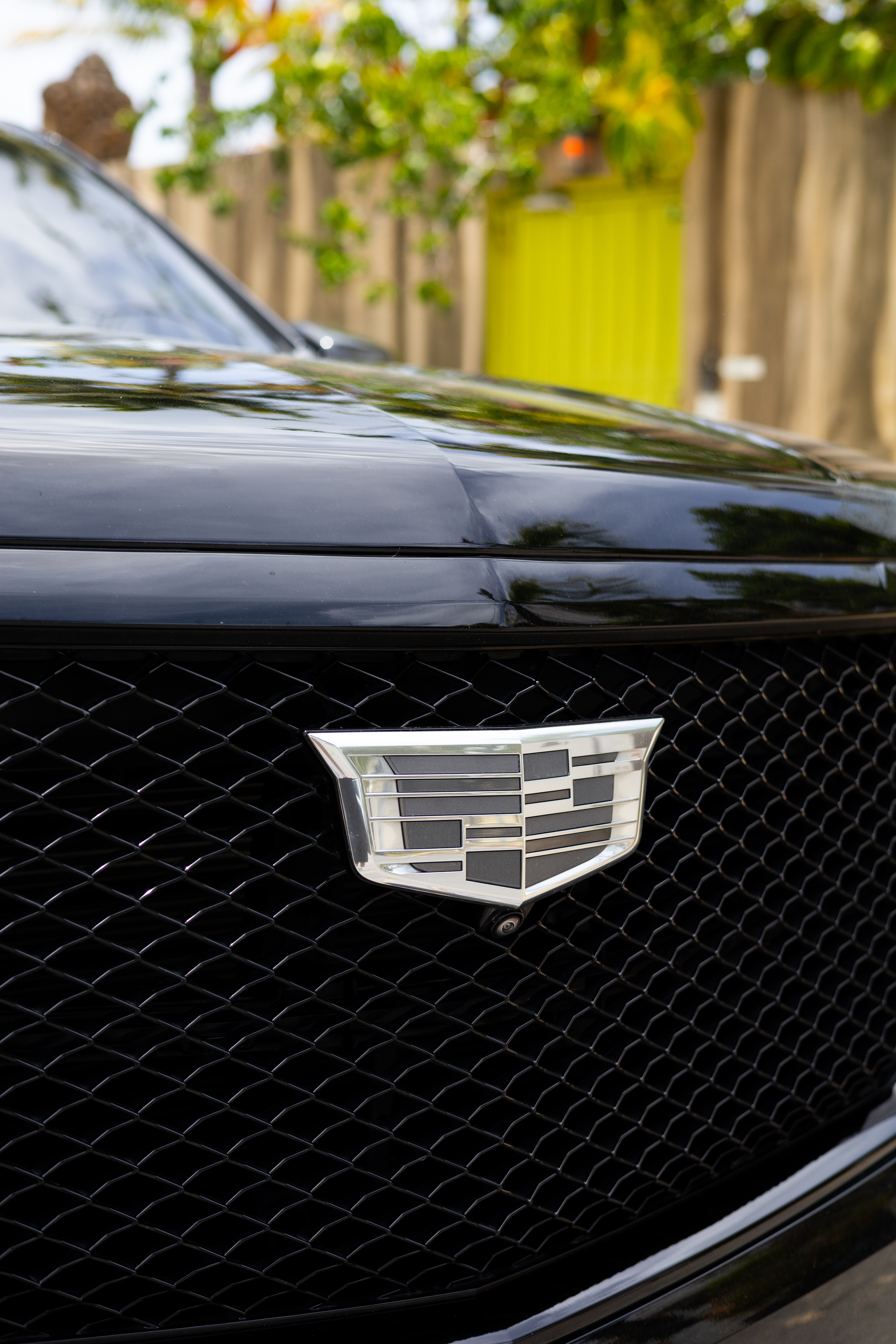 Cadillac Escalade (Chauffeur Service)  - Black on Black