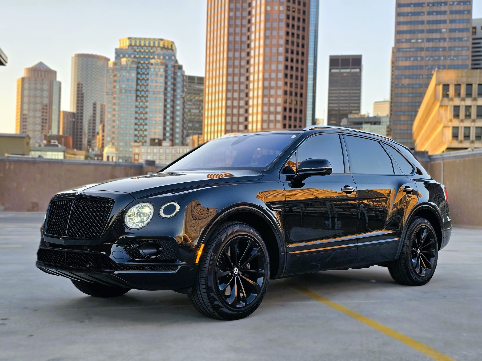 Bentley Bentayga - Beluga on Camel & Beluga