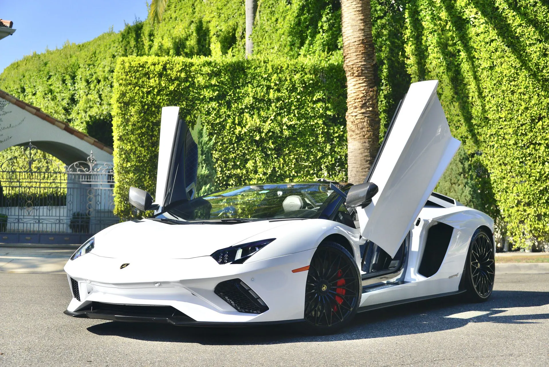 Lamborghini Aventador S - Bianco Isis on Nero (Gloss White on Black)