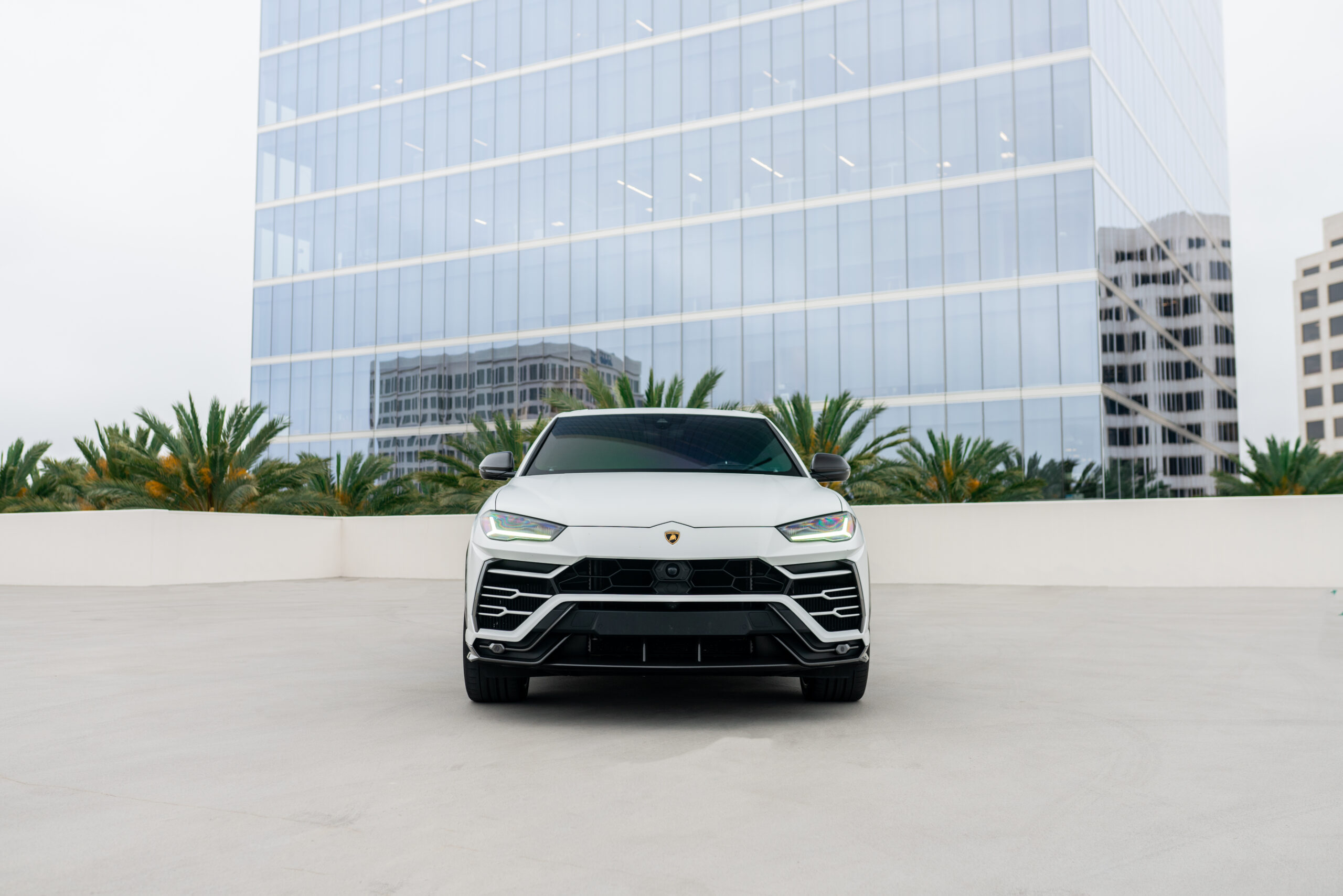 Lamborghini Urus - Bianco Monocerus on Nero (Gloss White on Black)
