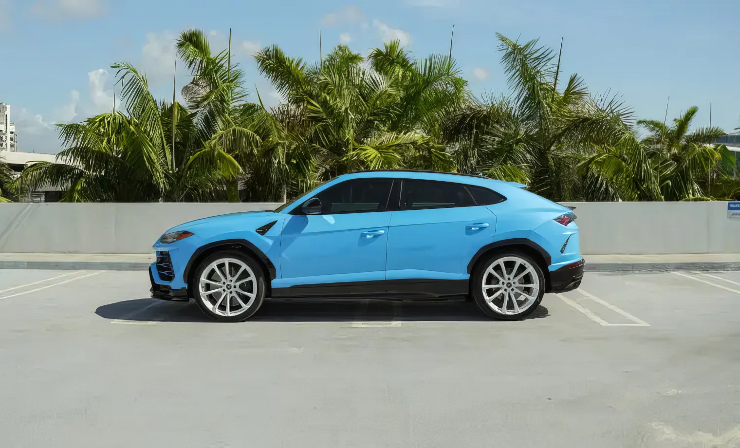 Lamborghini Urus – Blu Cepheus on Nero Ade & Bianco Polar (Sky Blue on Black & White)