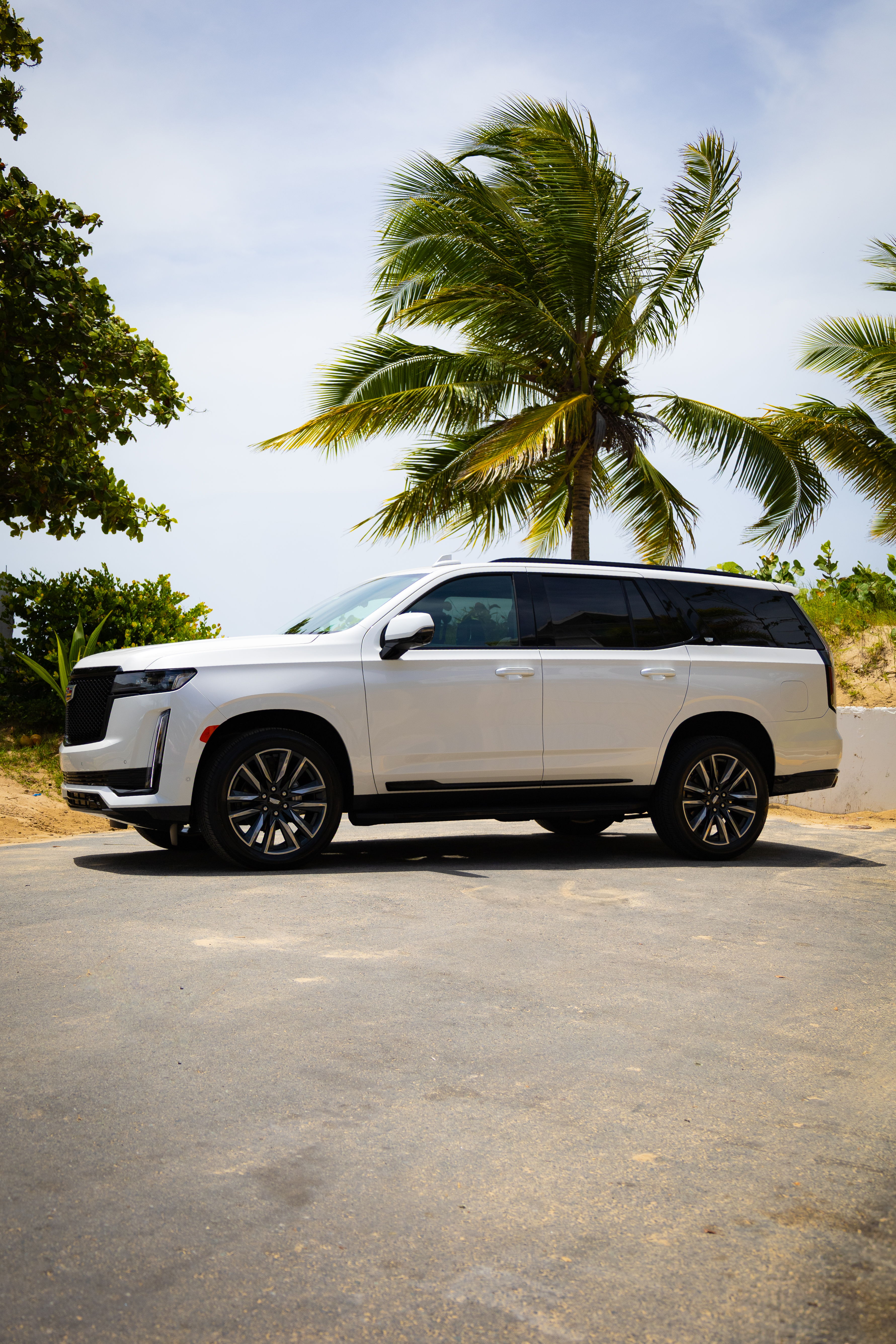 Cadillac Escalade - White on Black
