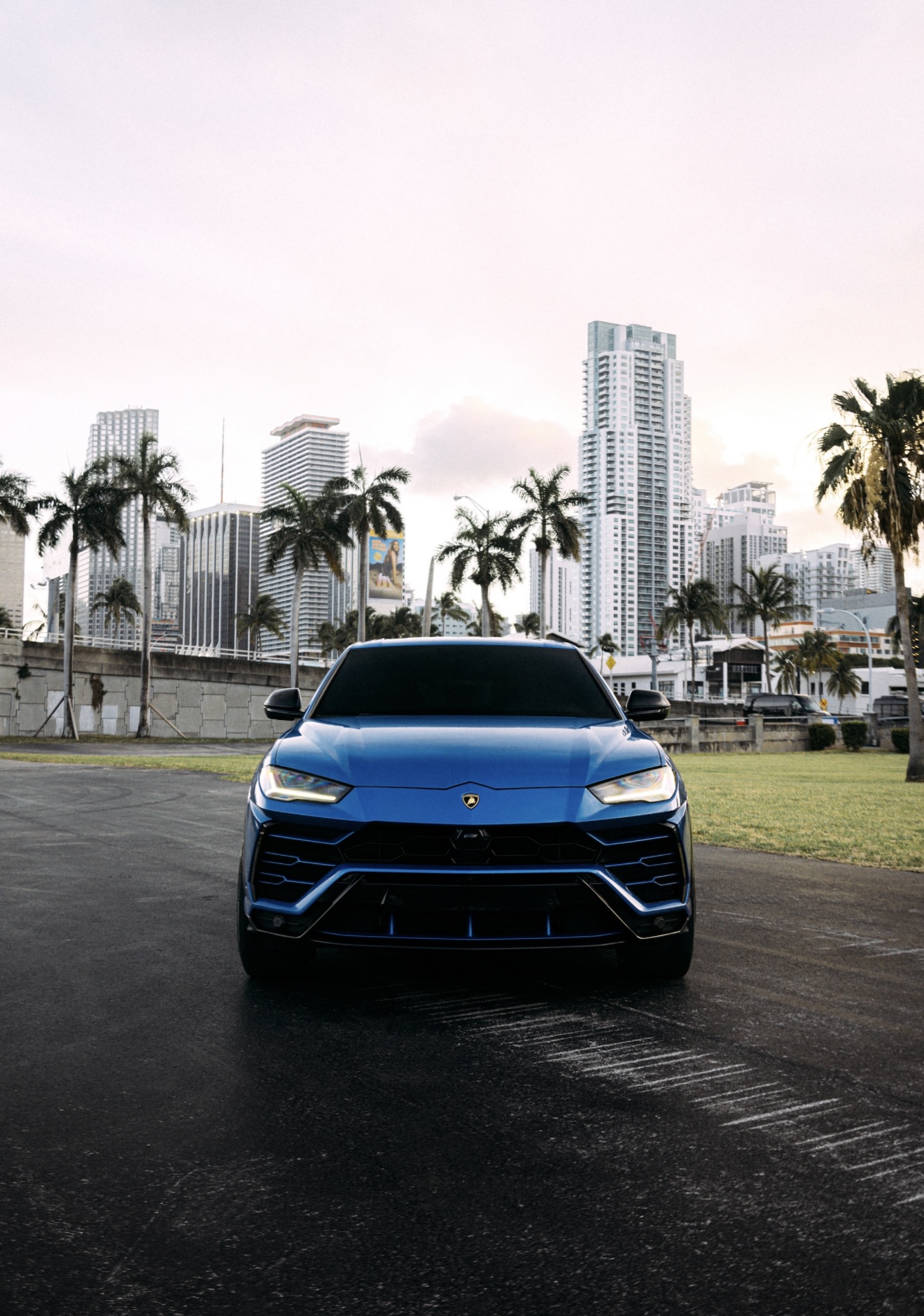 Lamborghini Urus - Blue on Black