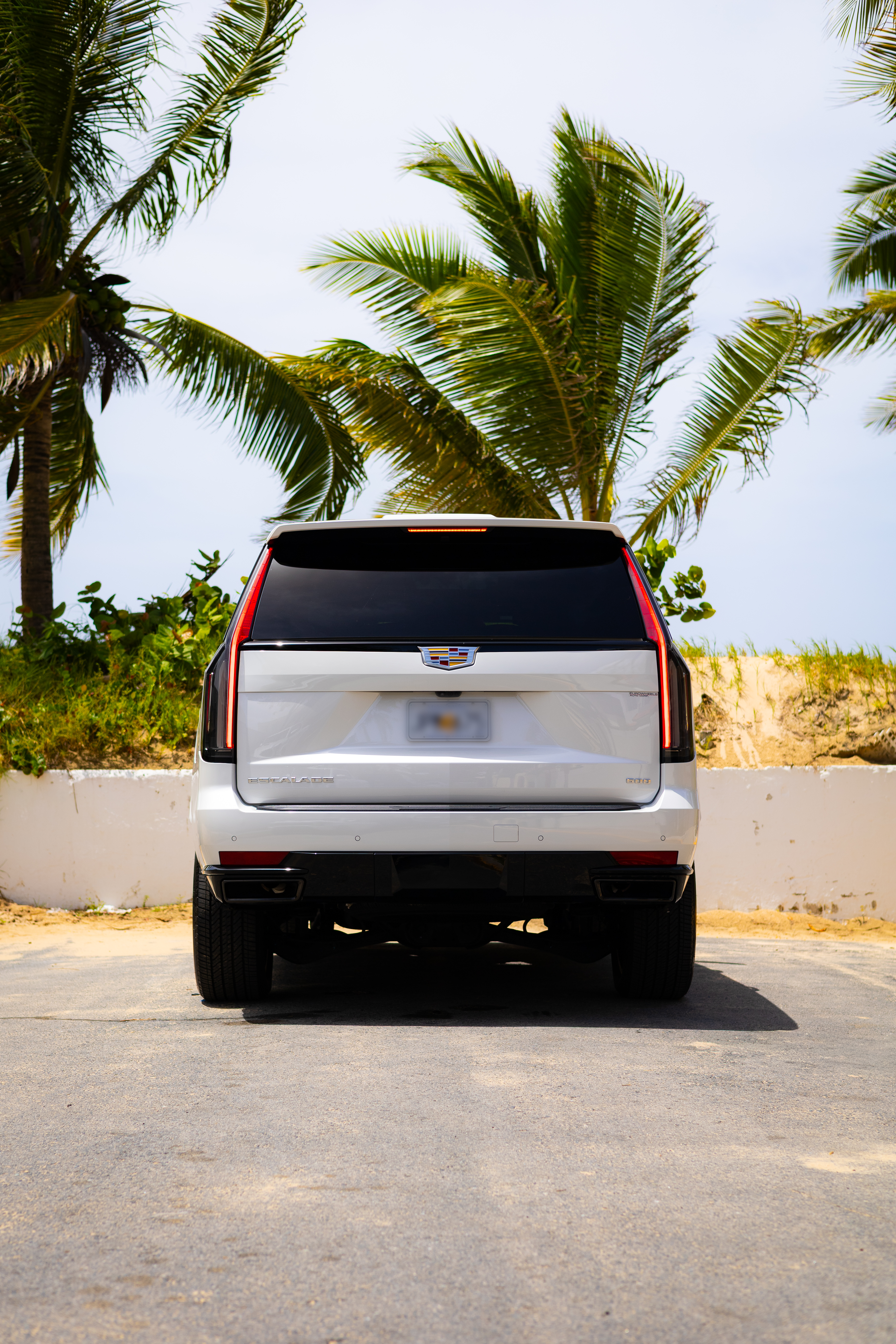 Cadillac Escalade - White on Black