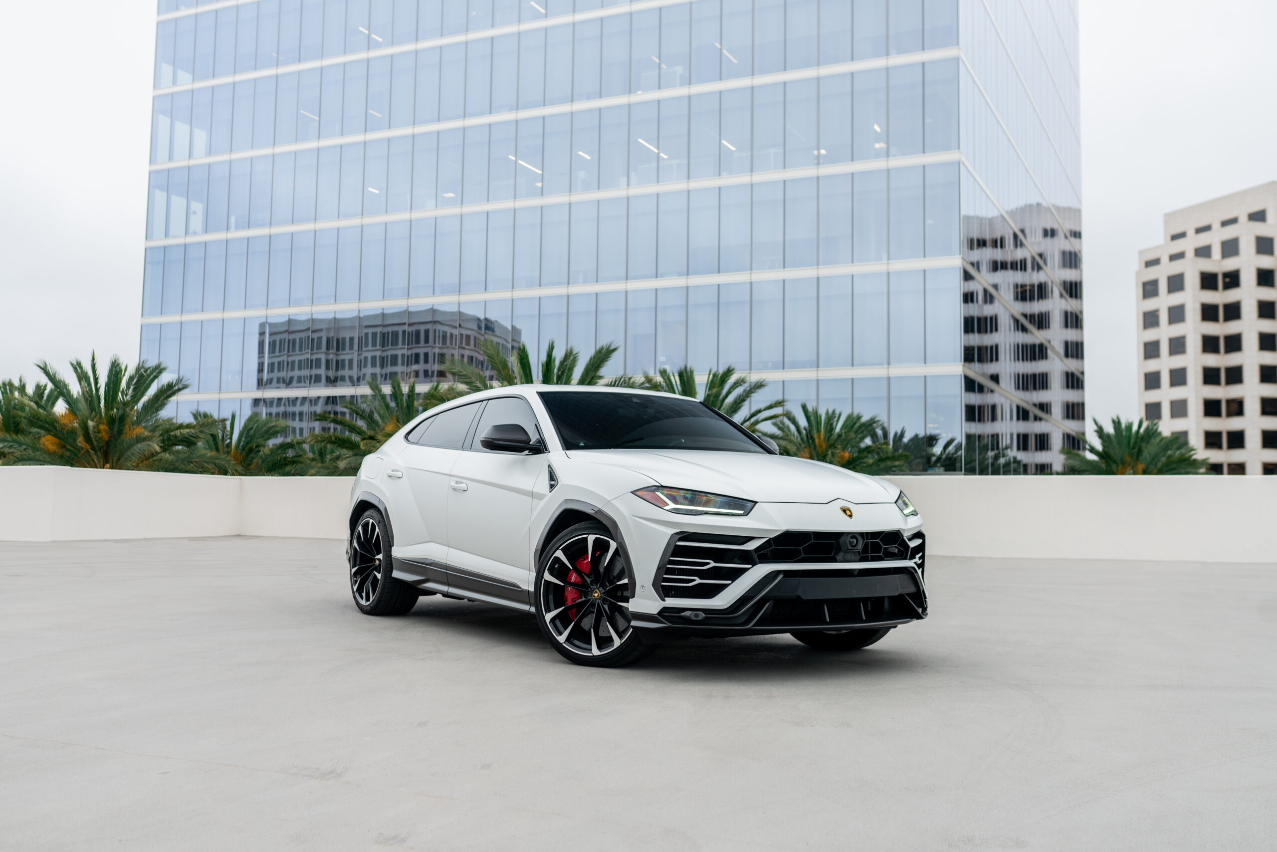 Lamborghini Urus - Bianco Monocerus on Nero (Gloss White on Black)