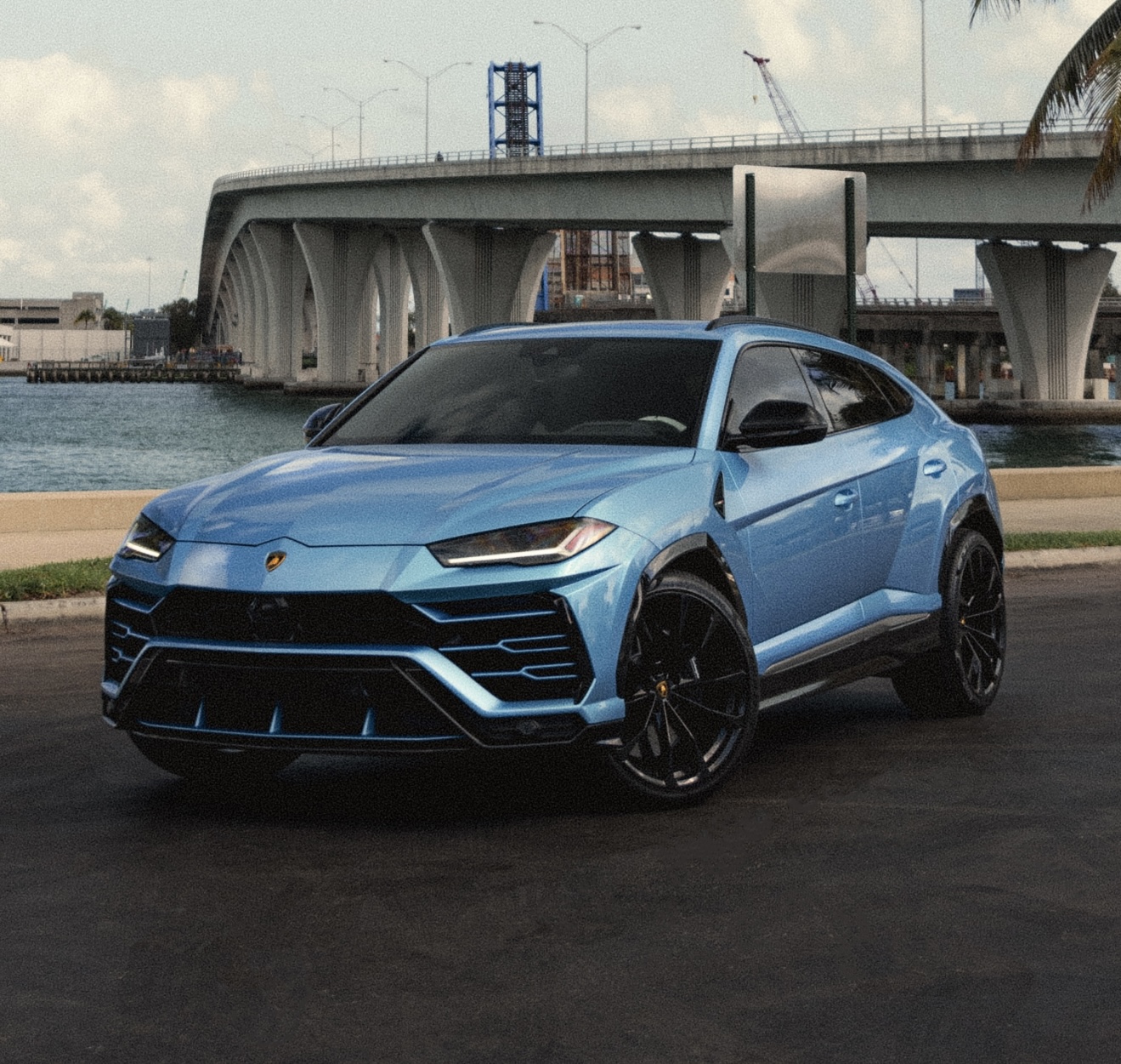 Lamborghini Urus - Light Blue on White & Black 