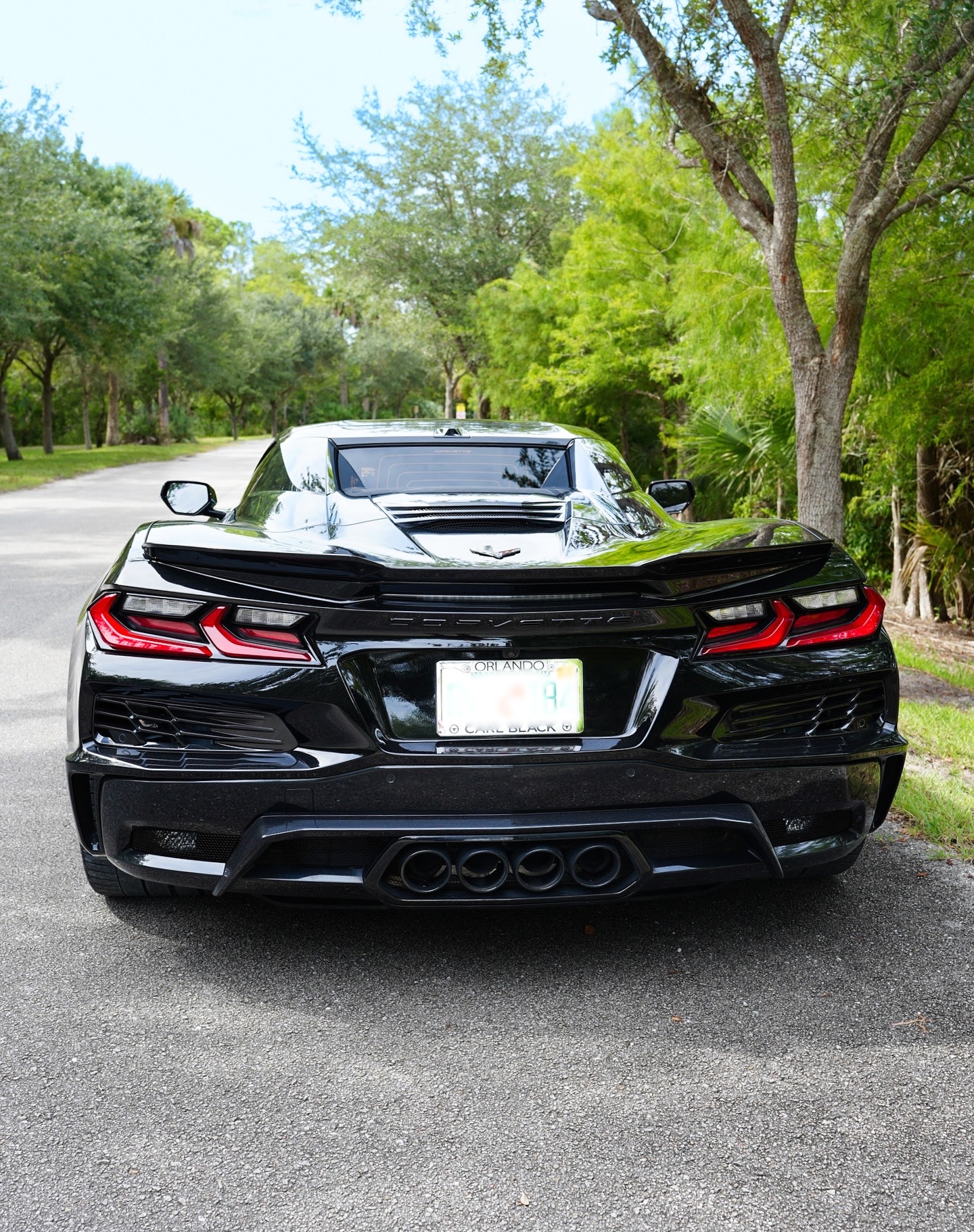 Chevrolet Corvette Z06 - Black on Black