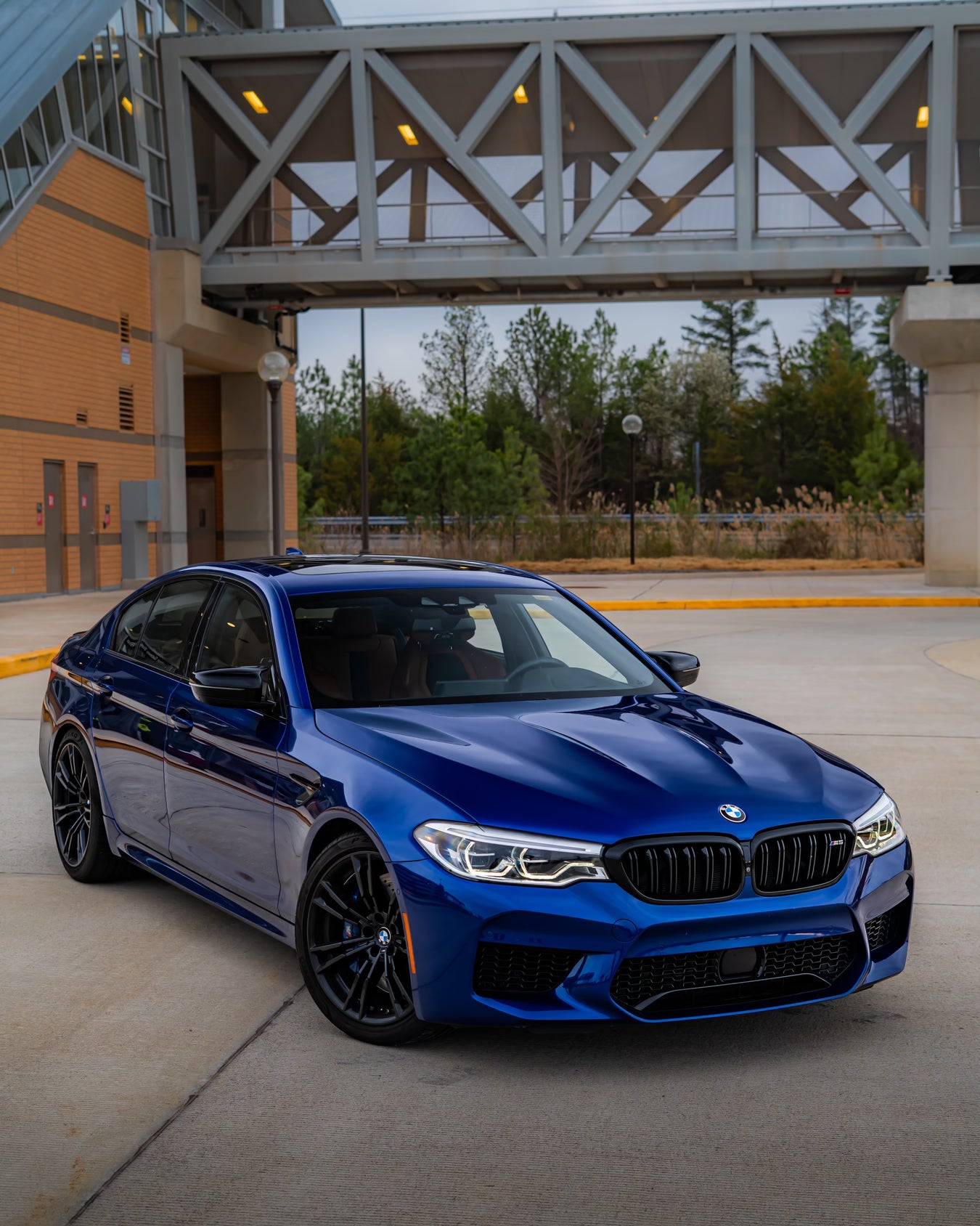BMW M5 Competition - Marina Blue on Peanut Butter