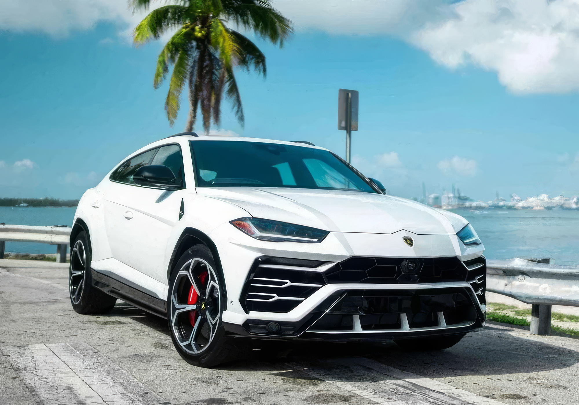 Lamborghini Urus — Bianco Icarus on Blu Cepheus & Nero Ade (Solid White on Blue & Black)