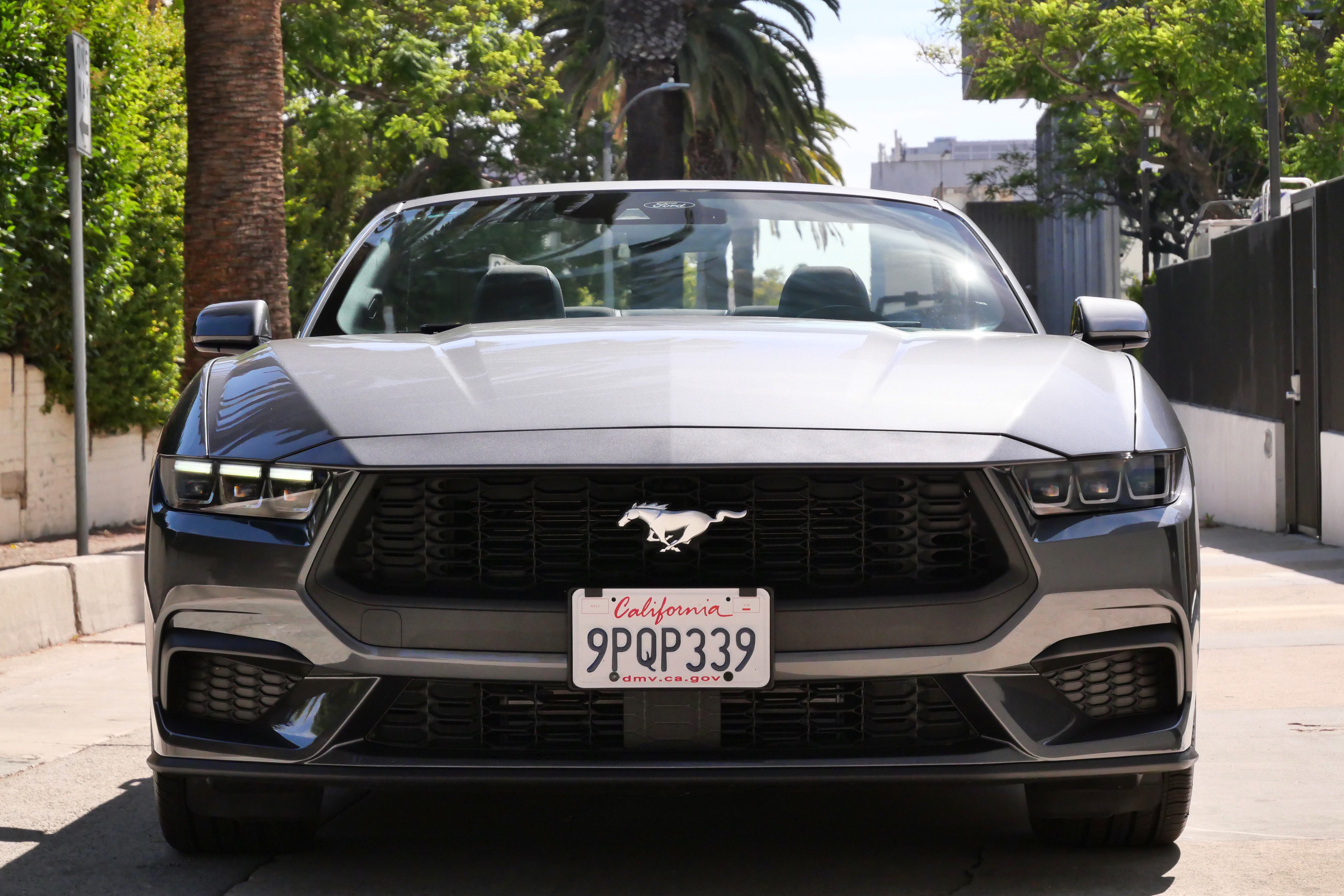 Ford Mustang Convertible - Grey on Black