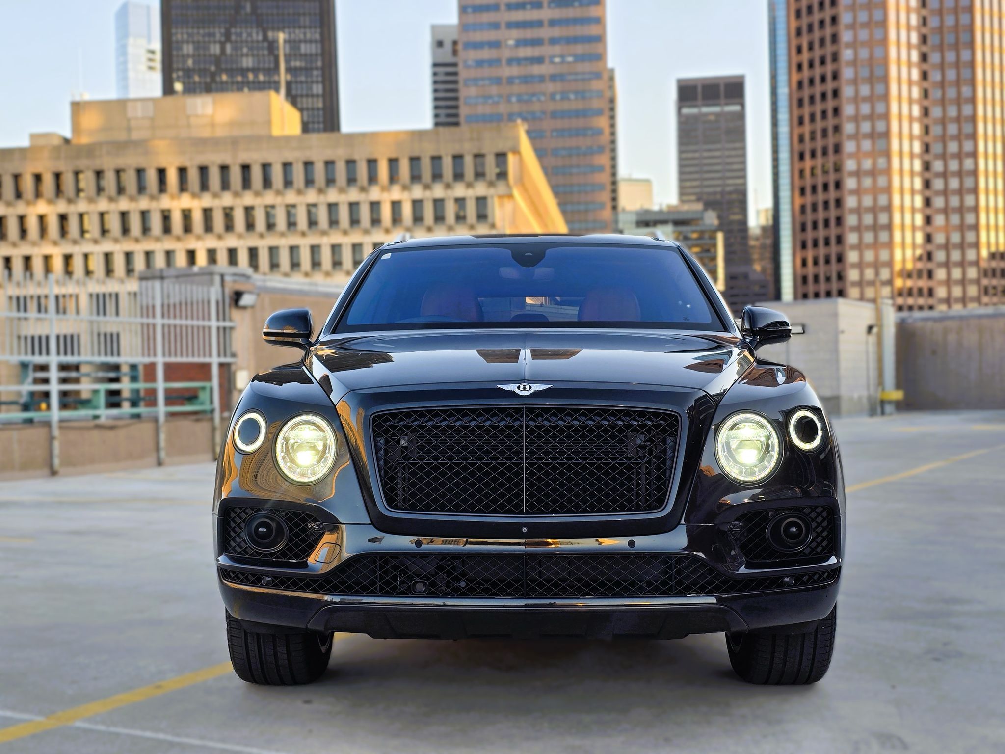 Bentley Bentayga - Beluga on Camel & Beluga