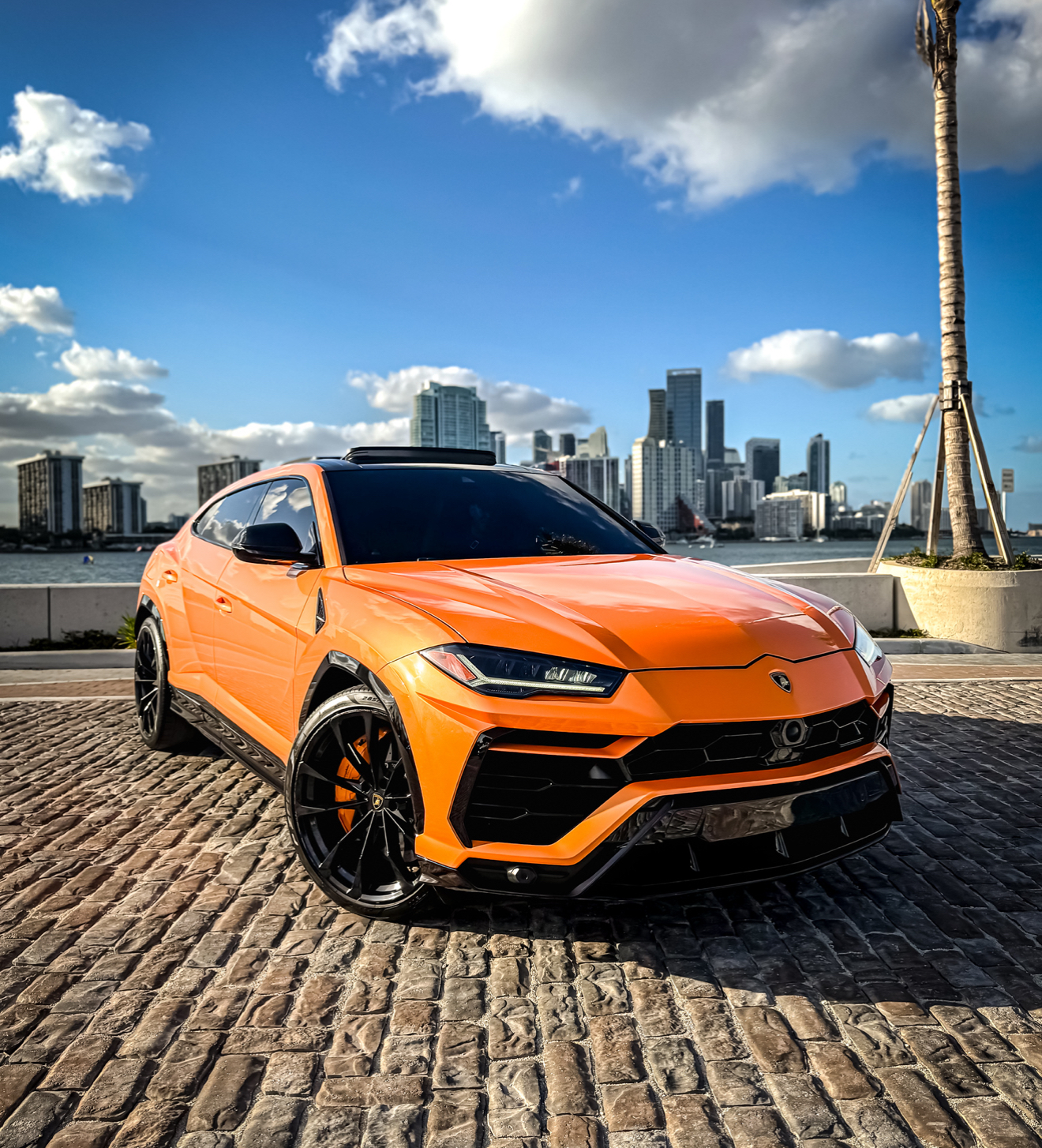 Lamborghini Urus - Orange on Black & Orange