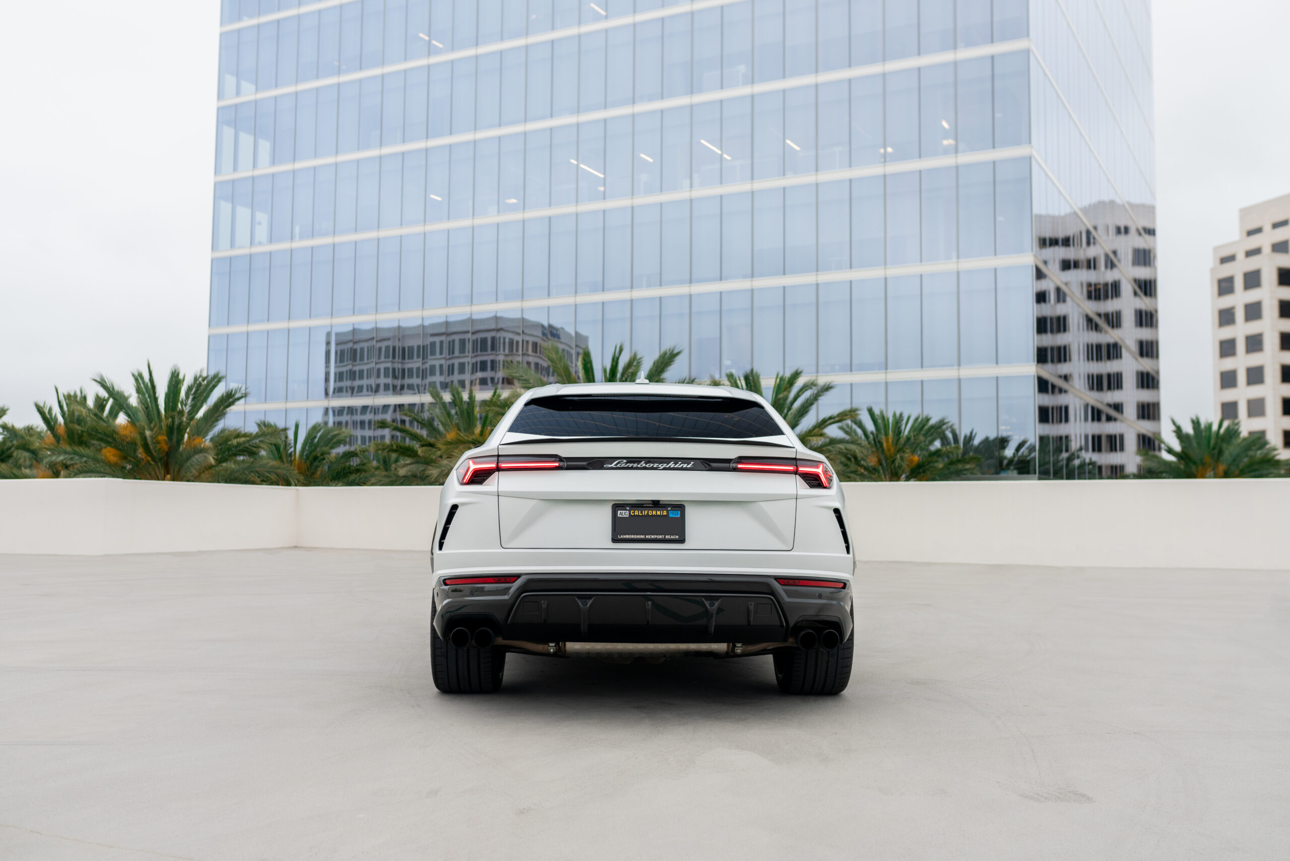 Lamborghini Urus - Bianco Monocerus on Nero (Gloss White on Black)