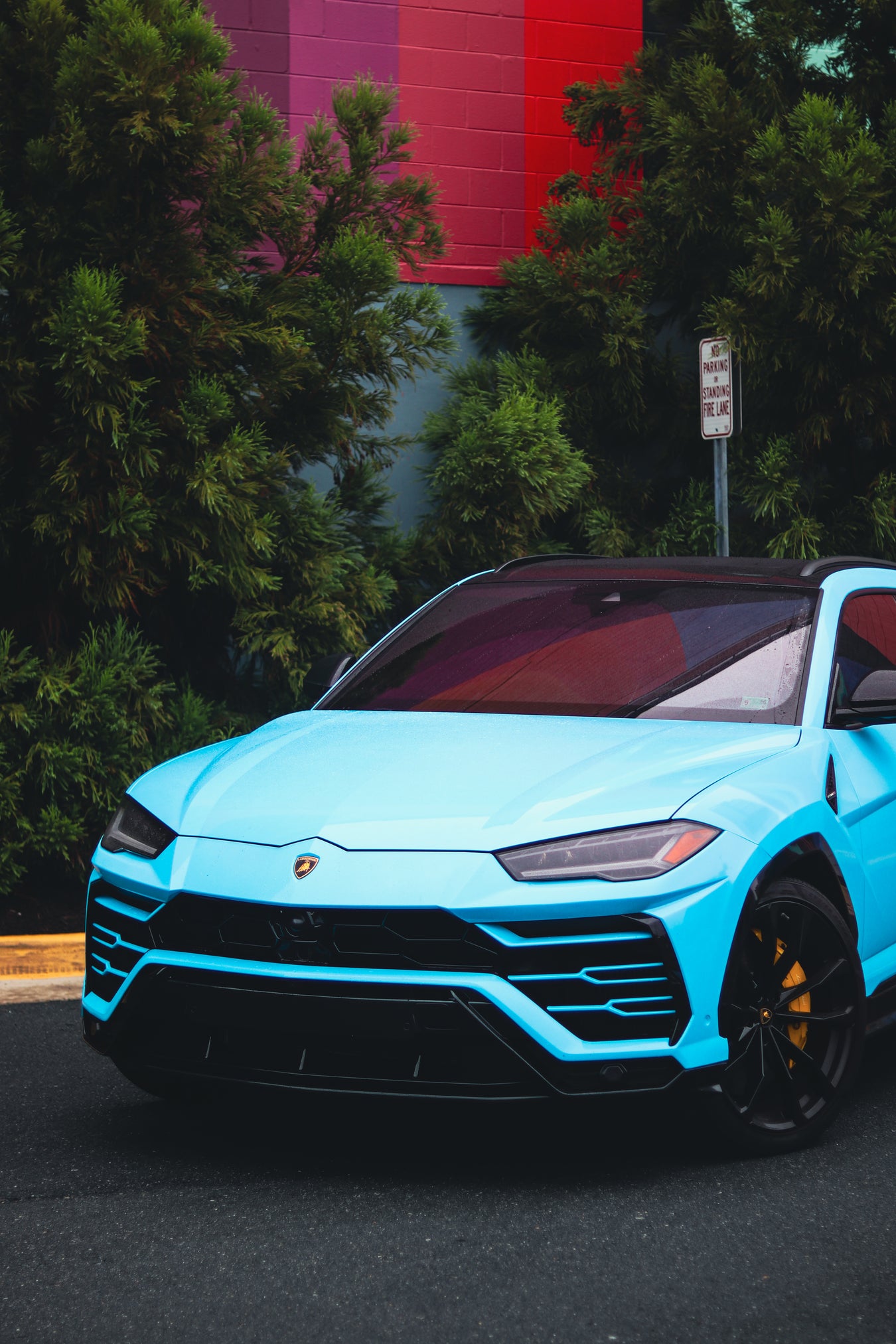 Lamborghini Urus – Baby Blue w/ Starlights