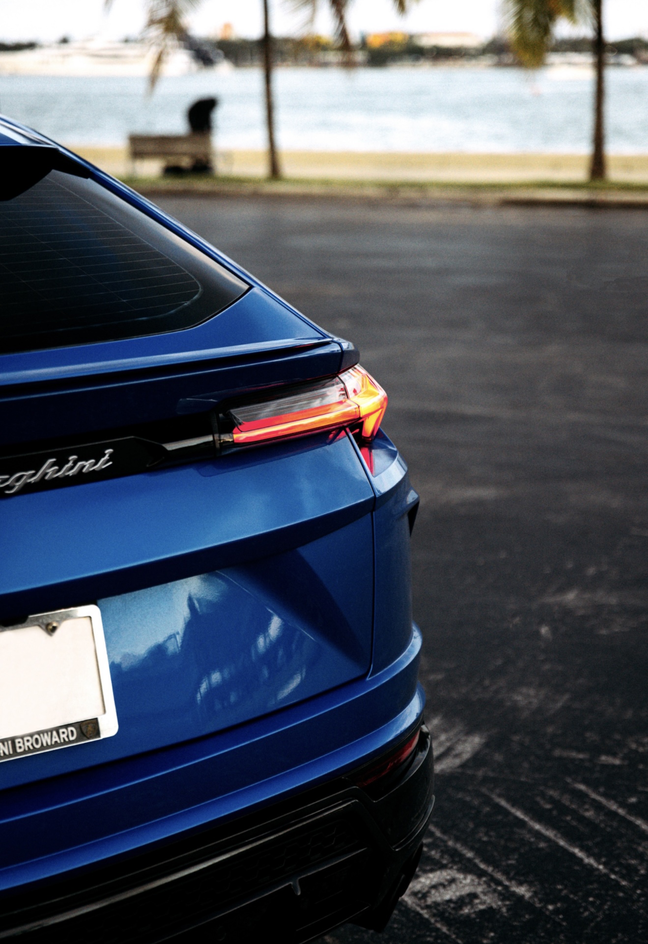 Lamborghini Urus - Blue on Black