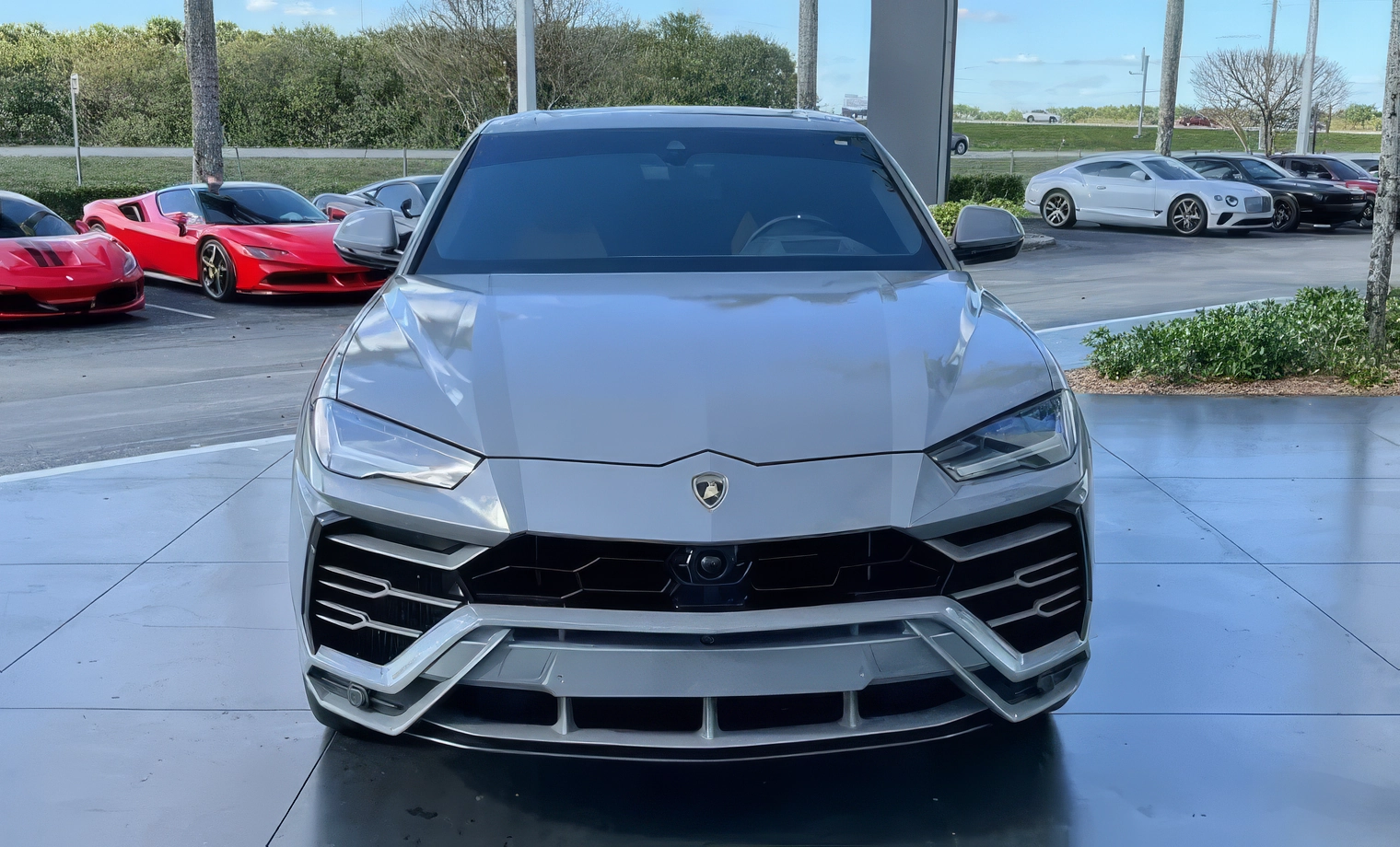 Lamborghini Urus – Grigio Nimbus on Nero Ade & Giallo (Light Gray on Black & Yellow)