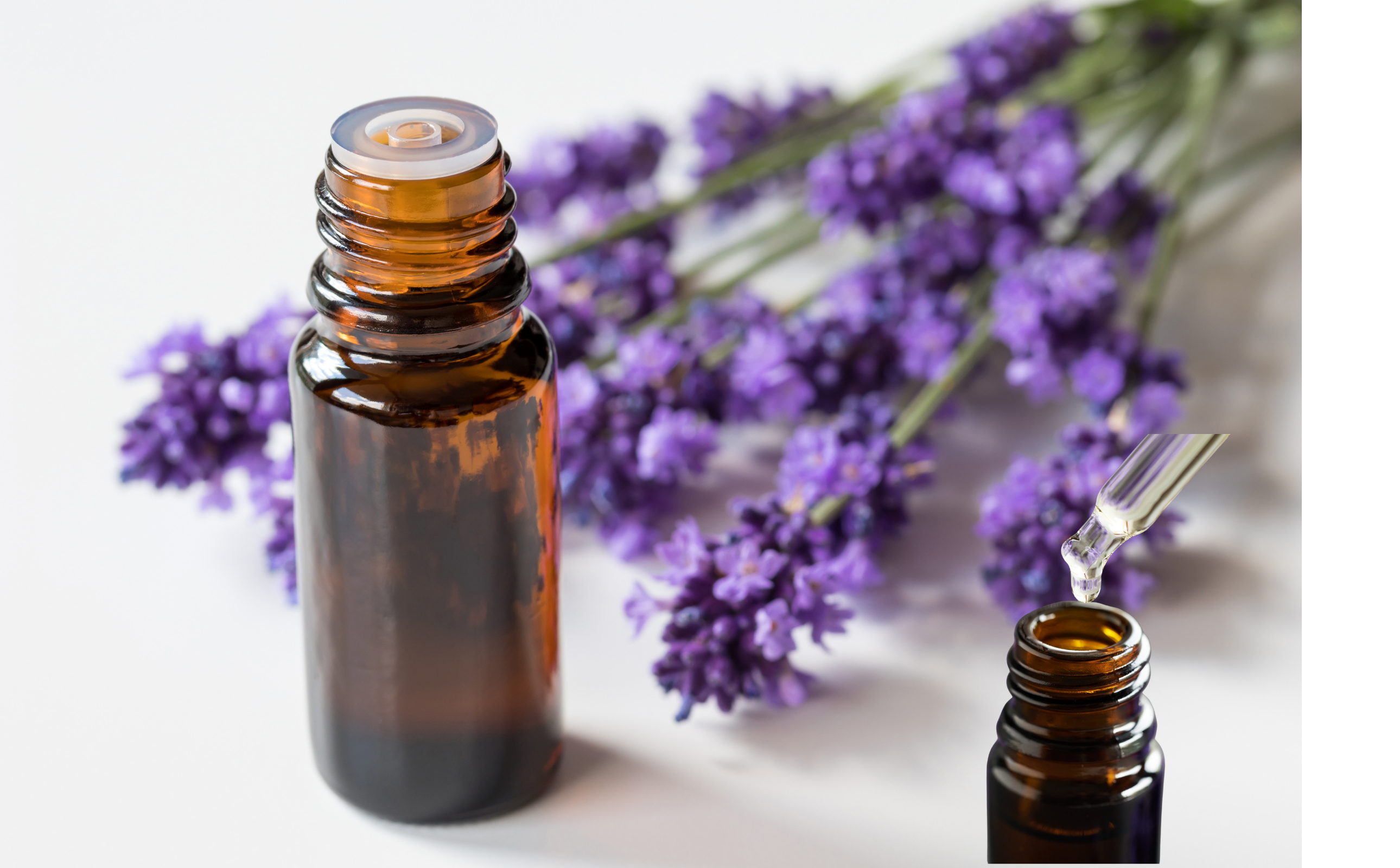 Minyak Lavender