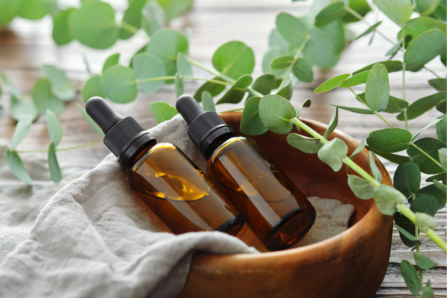Minyak Eucalyptus