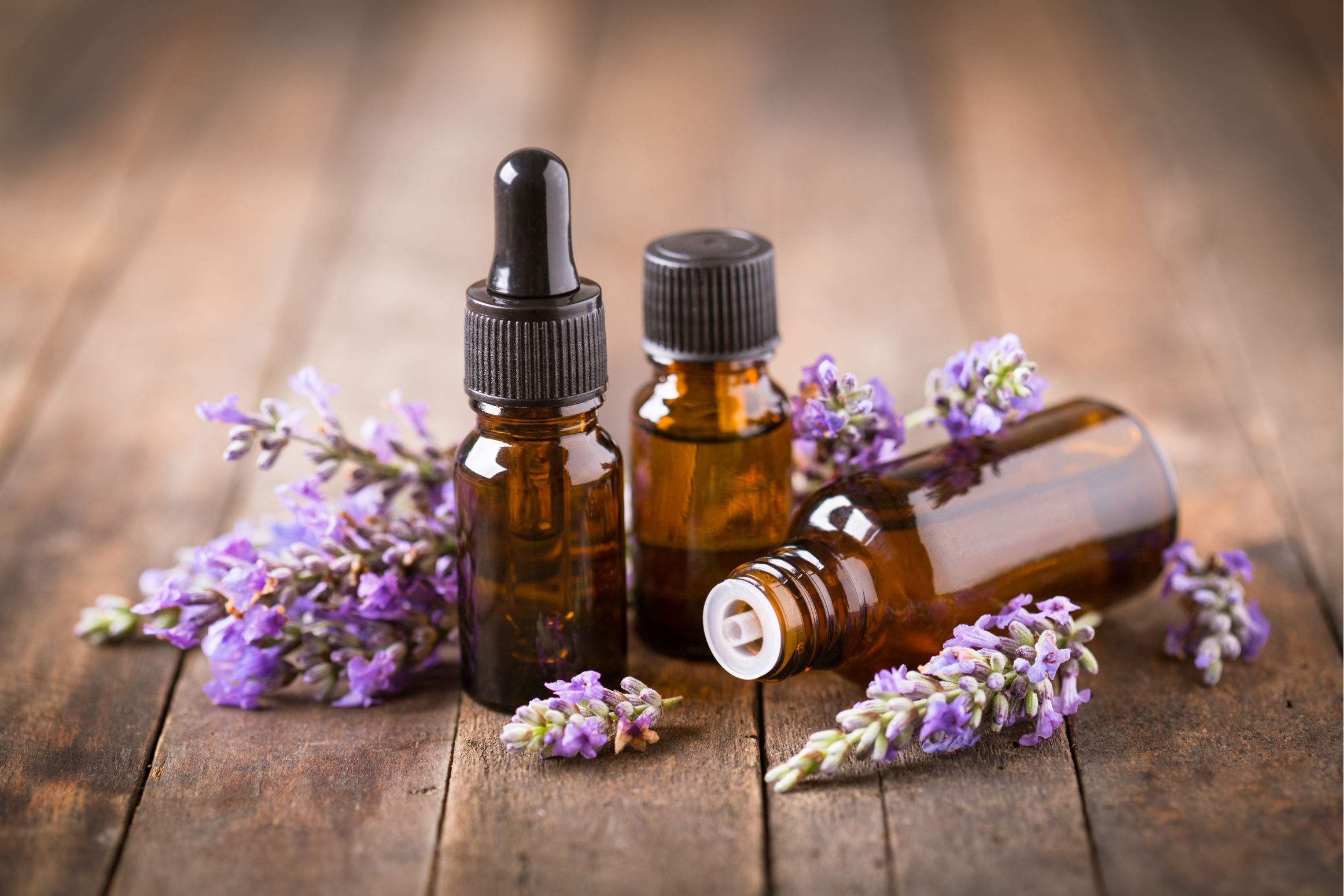 Minyak Lavender