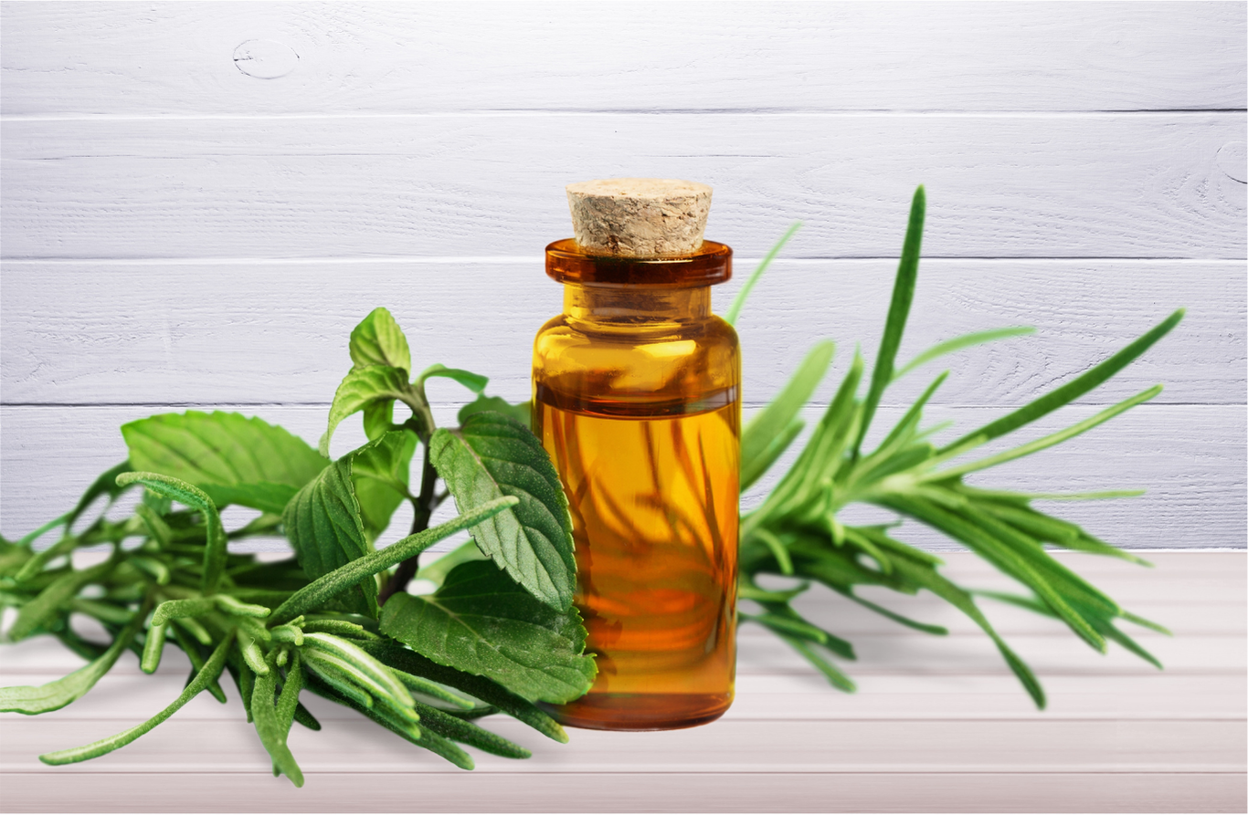 Minyak Tea Tree