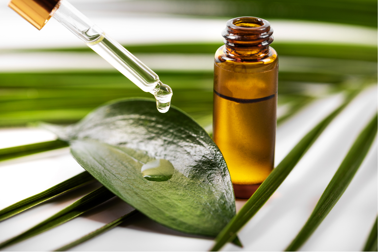 Minyak Tea Tree
