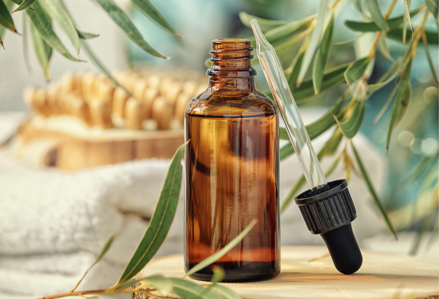 Minyak Eucalyptus