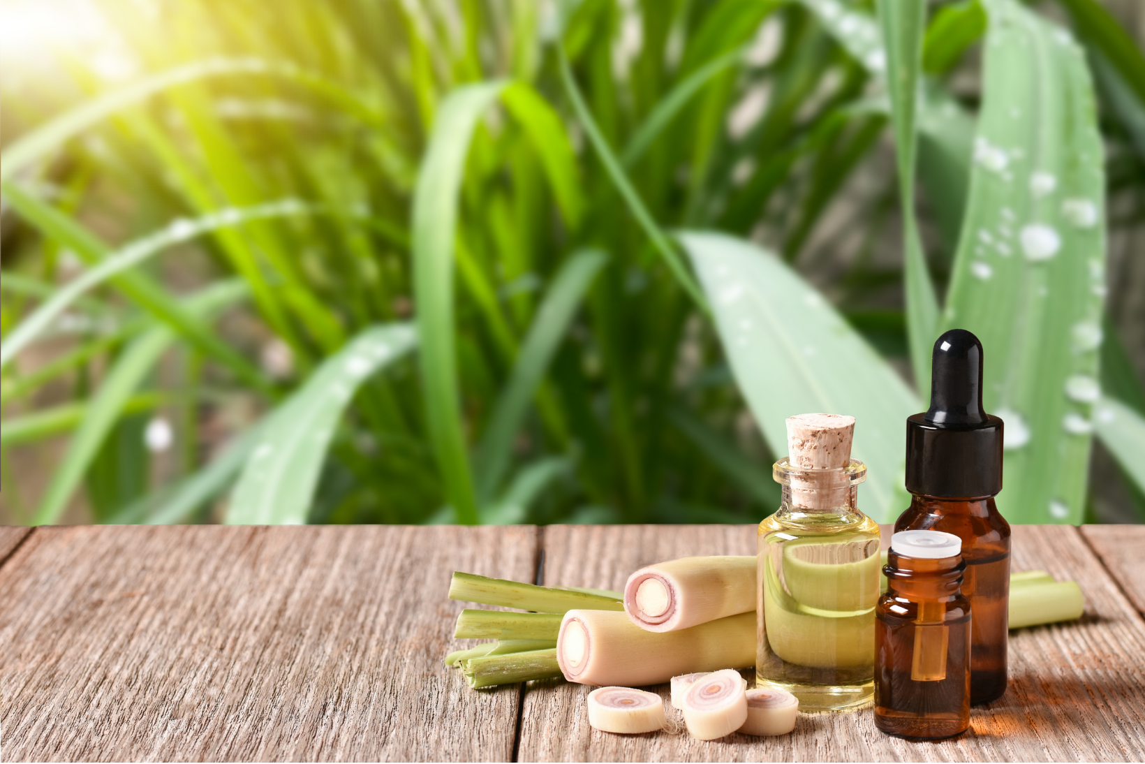 Minyak Sereh/ Citronella 