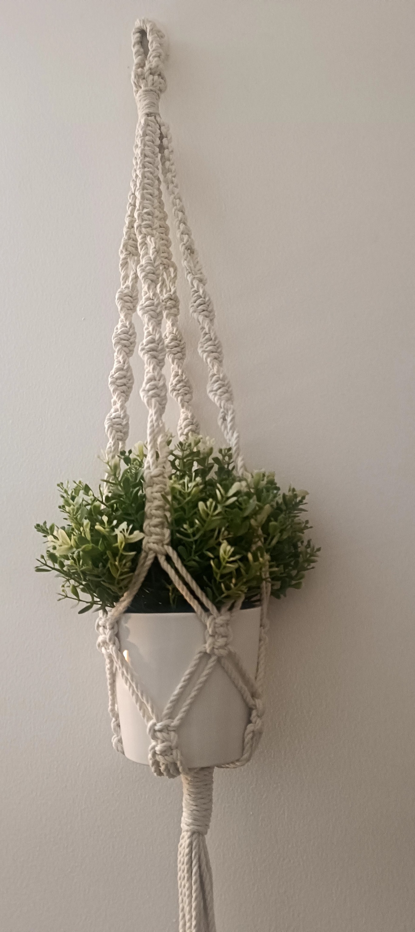 Macrame Cotton Plant Loop Hanger | Home Decor Flower Planter  100 Cms length