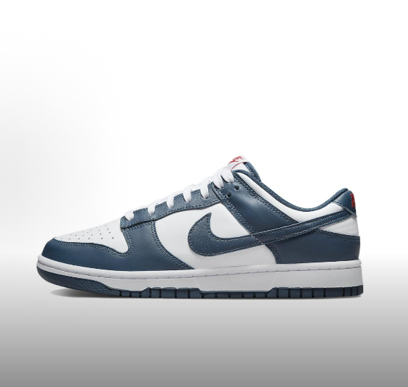 Nike Dunk Retro Valerian Blue