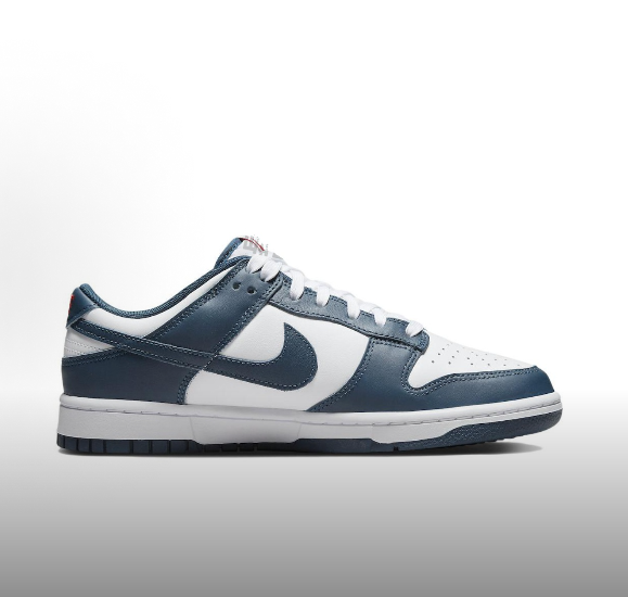 Nike Dunk Retro Valerian Blue