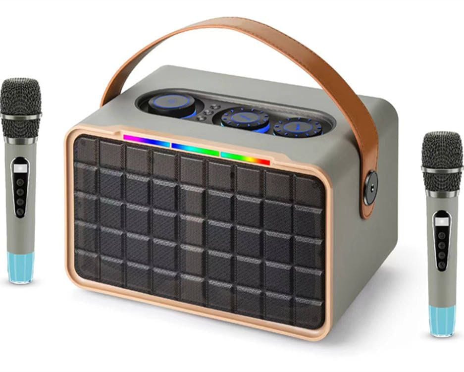 Portable Karaoke Speaker System